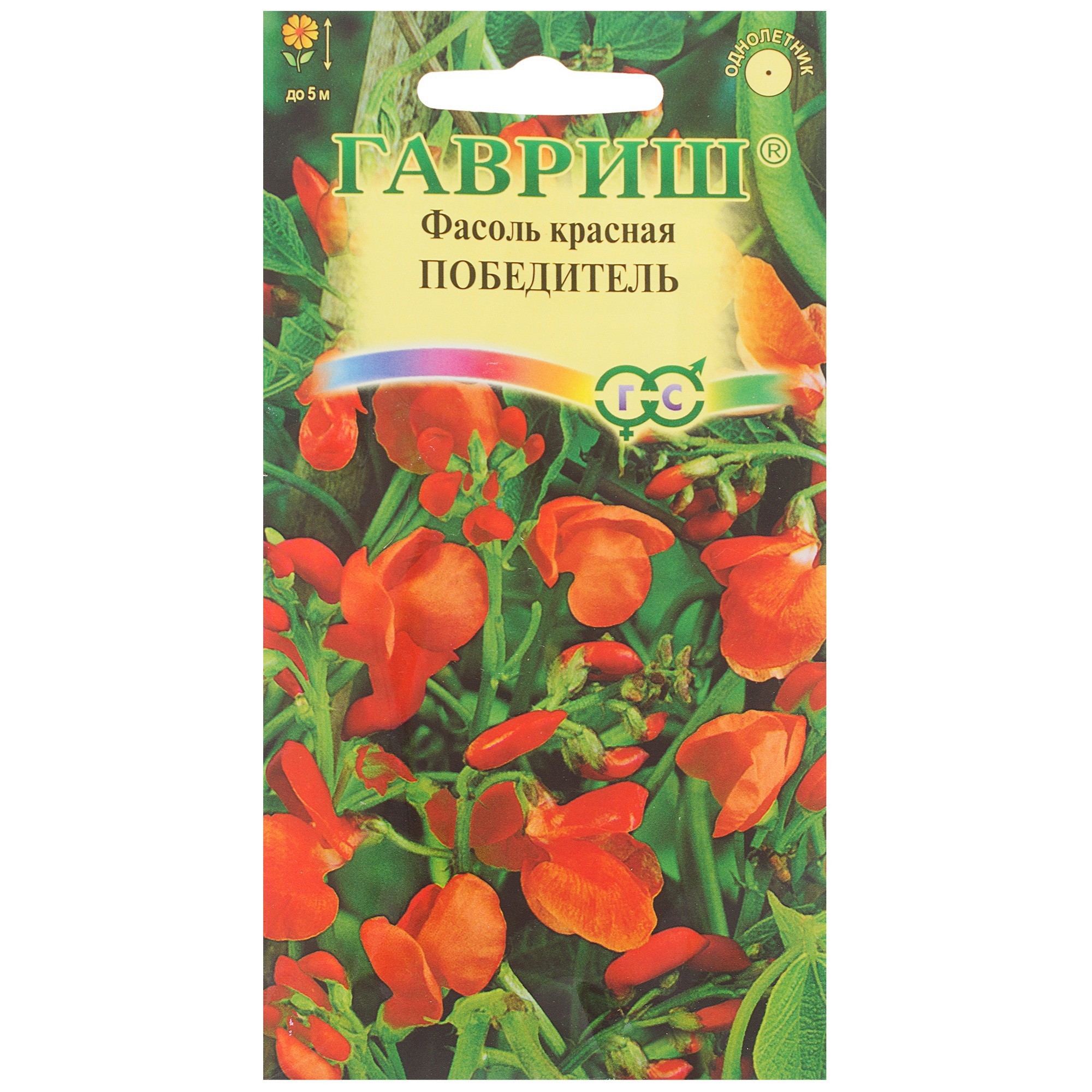 Изображение товара Фасоль декоративная «Победитель» 5 шт.