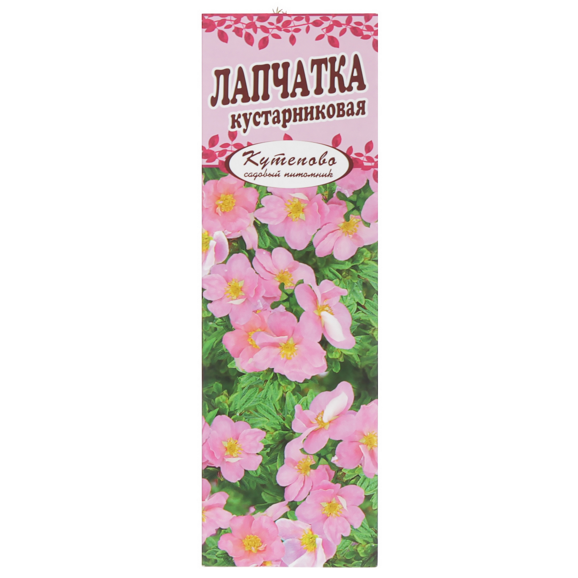 Изображение товара Лапчатка розовая Pink Beauty, в коробке Изображение товара Лапчатка розовая Pink Beauty, в коробке