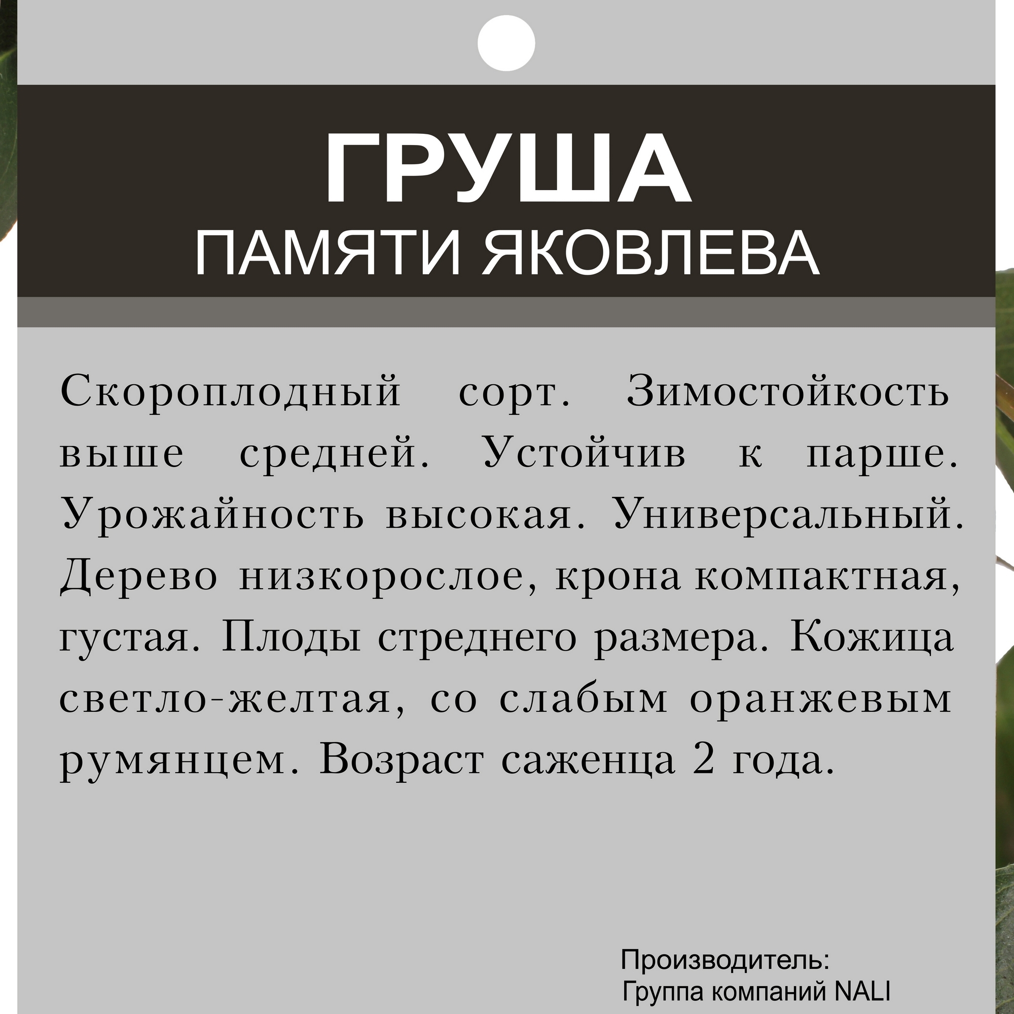 Превью изображения товара