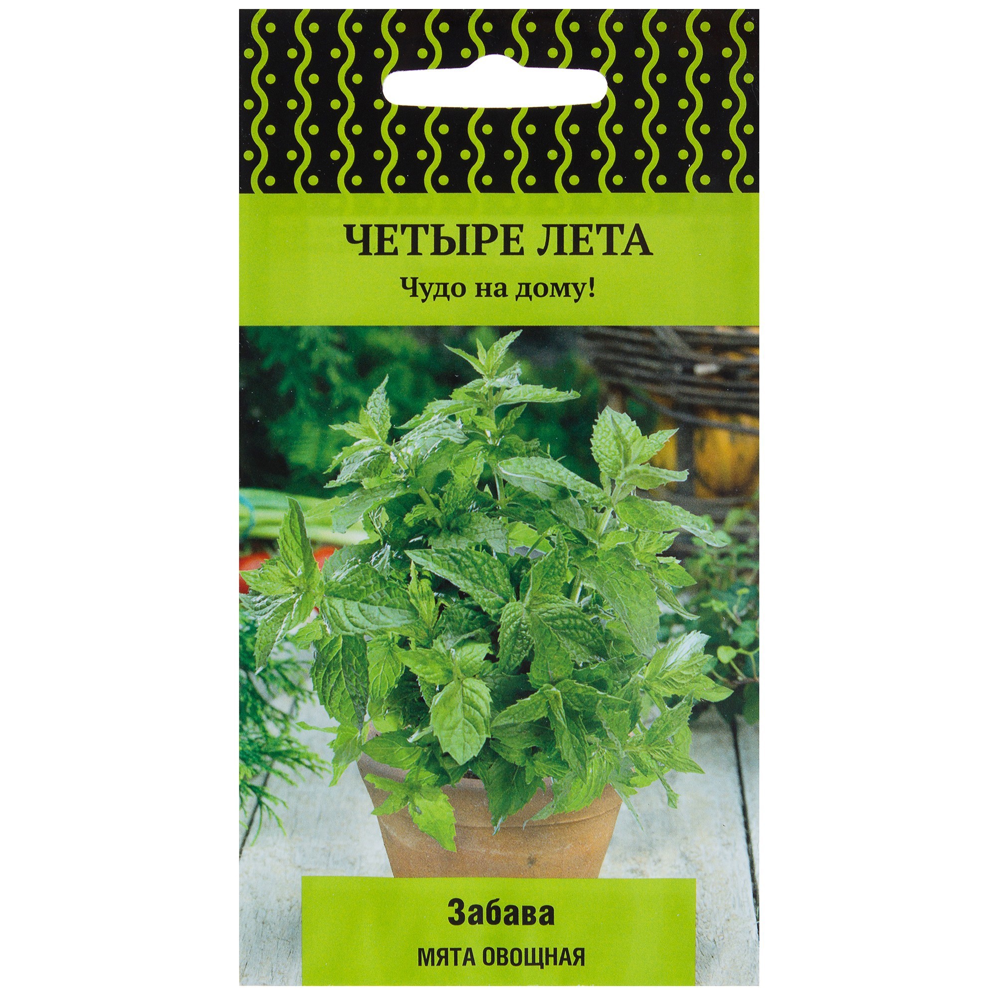 Изображение товара Семена Мята овощная Забава