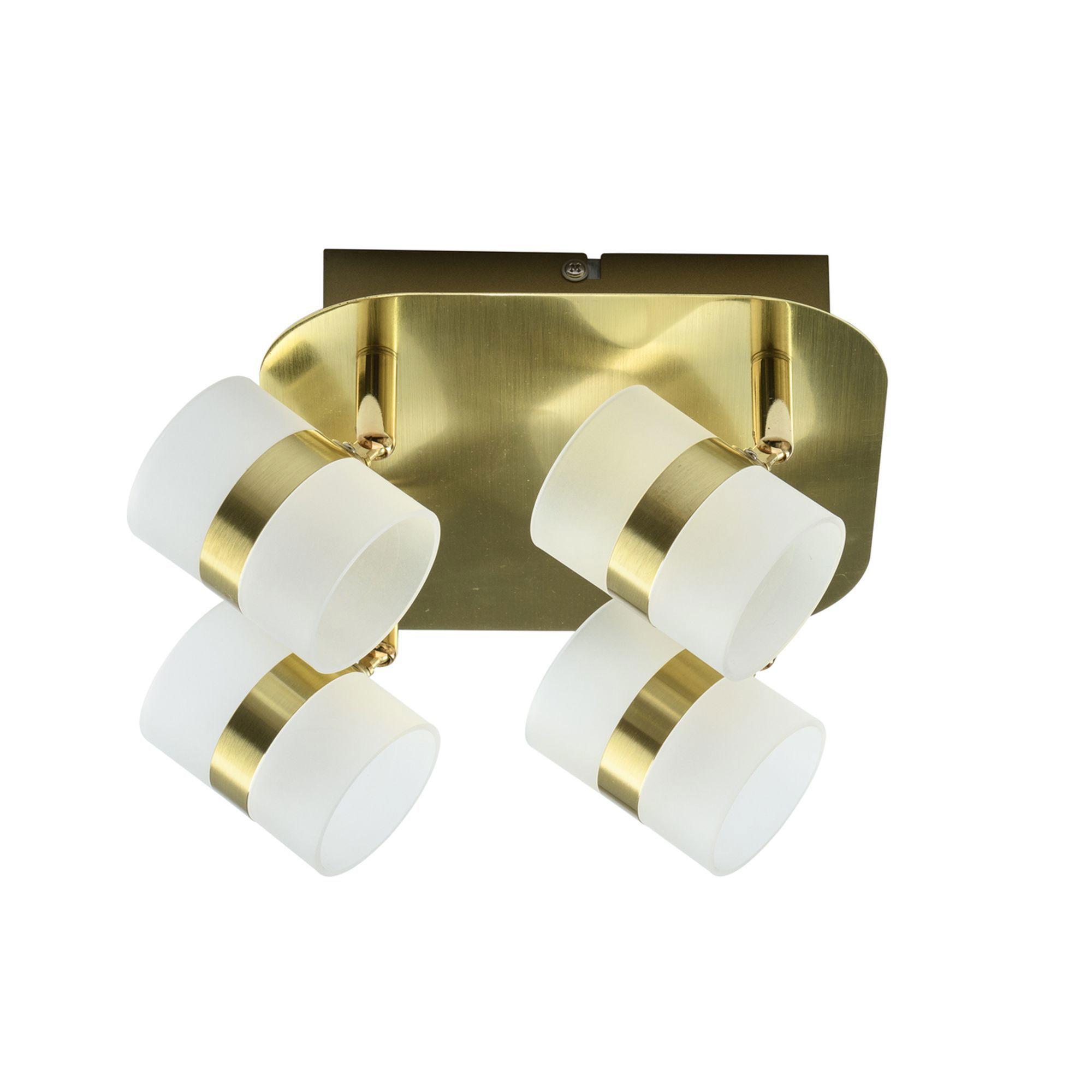 Изображение товара Люстра светодиодная Этингер с управлением яркостью и 4 плафонами