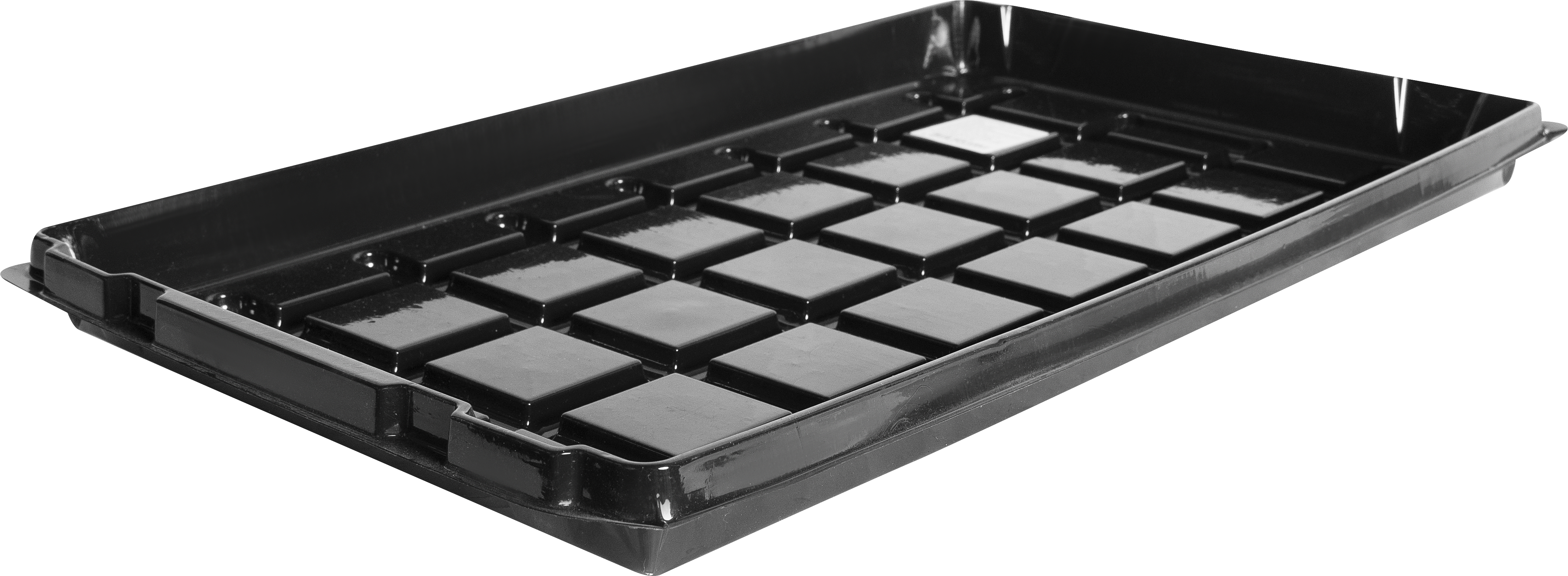 Изображение товара Поддон для рассады 52x31x3.5 см пластик черный