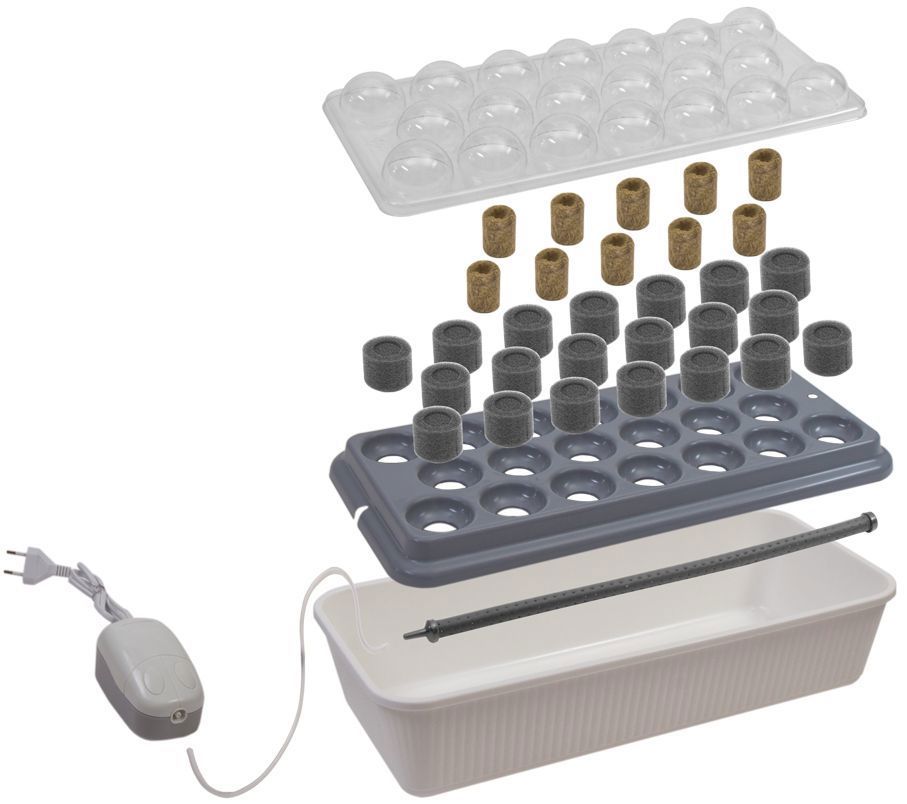 Изображение товара Проращиватель Здоровья клад «Чудо грядка»