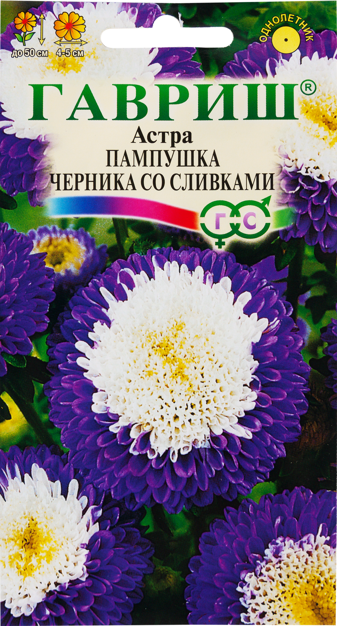 Астра «Пампушка Черника со сливками», 0.3 г