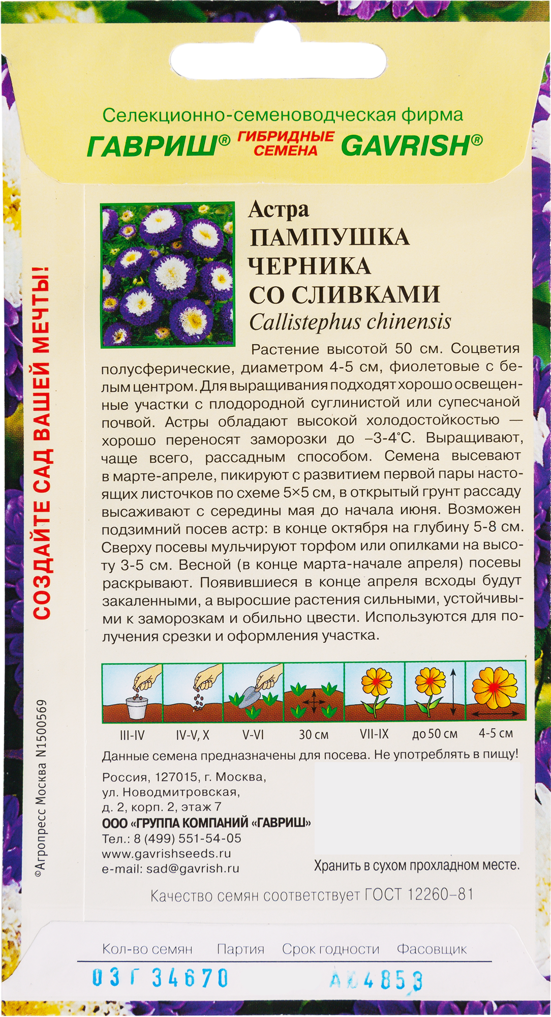 Астра «Пампушка Черника со сливками», 0.3 г - 1