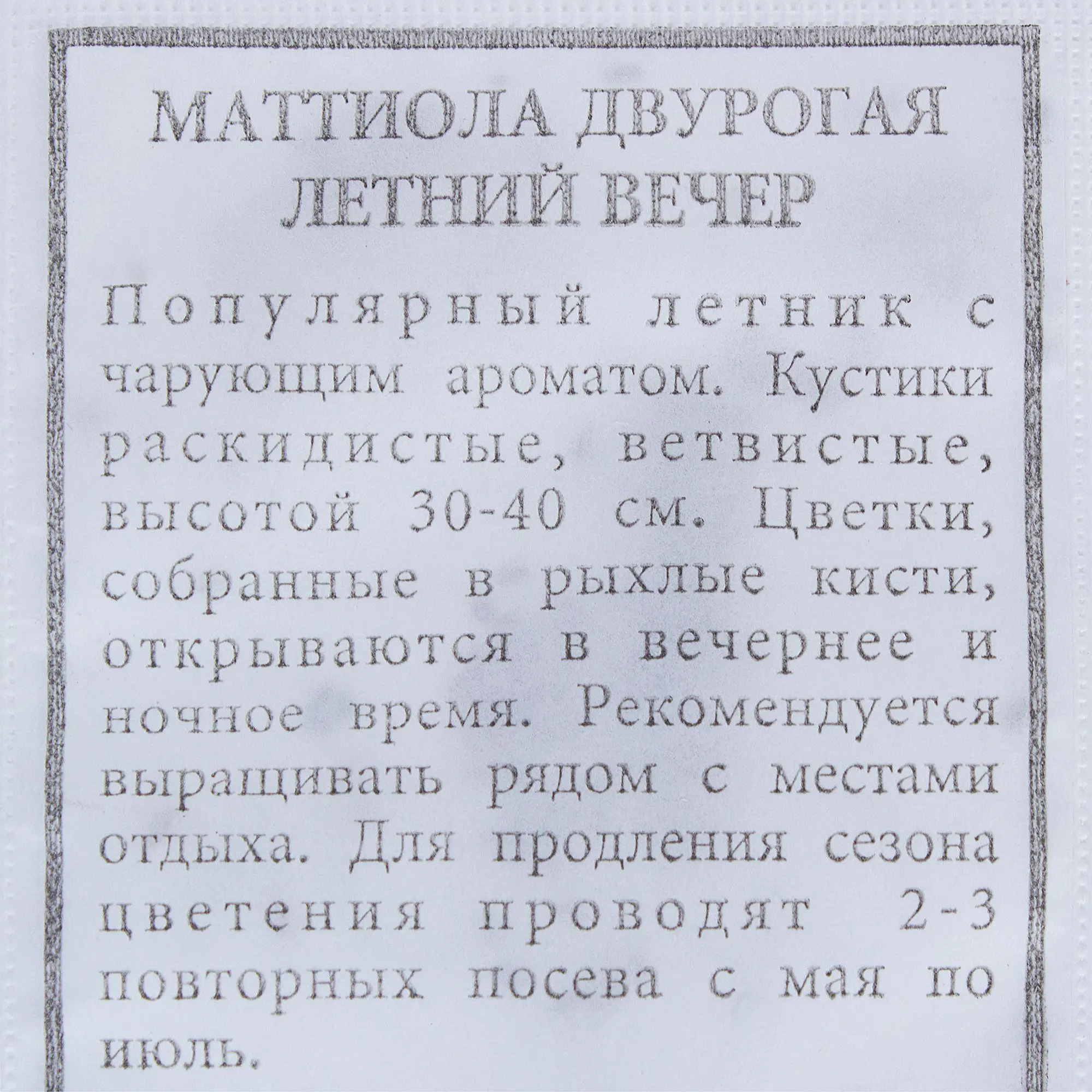 Маттиола Летний вечер» БП - 2