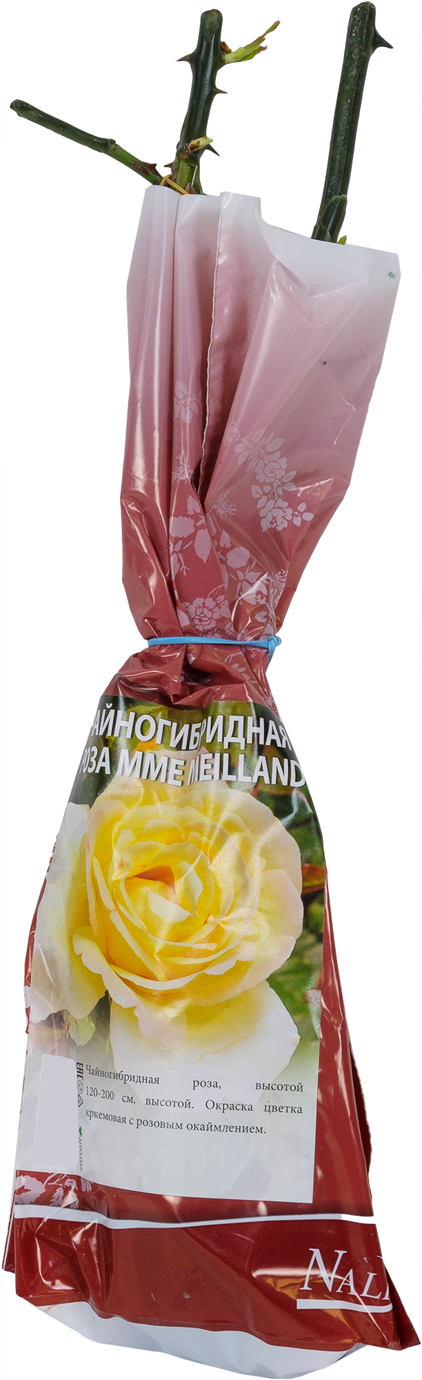 Изображение товара Роза М. Мейланд чайногибридная