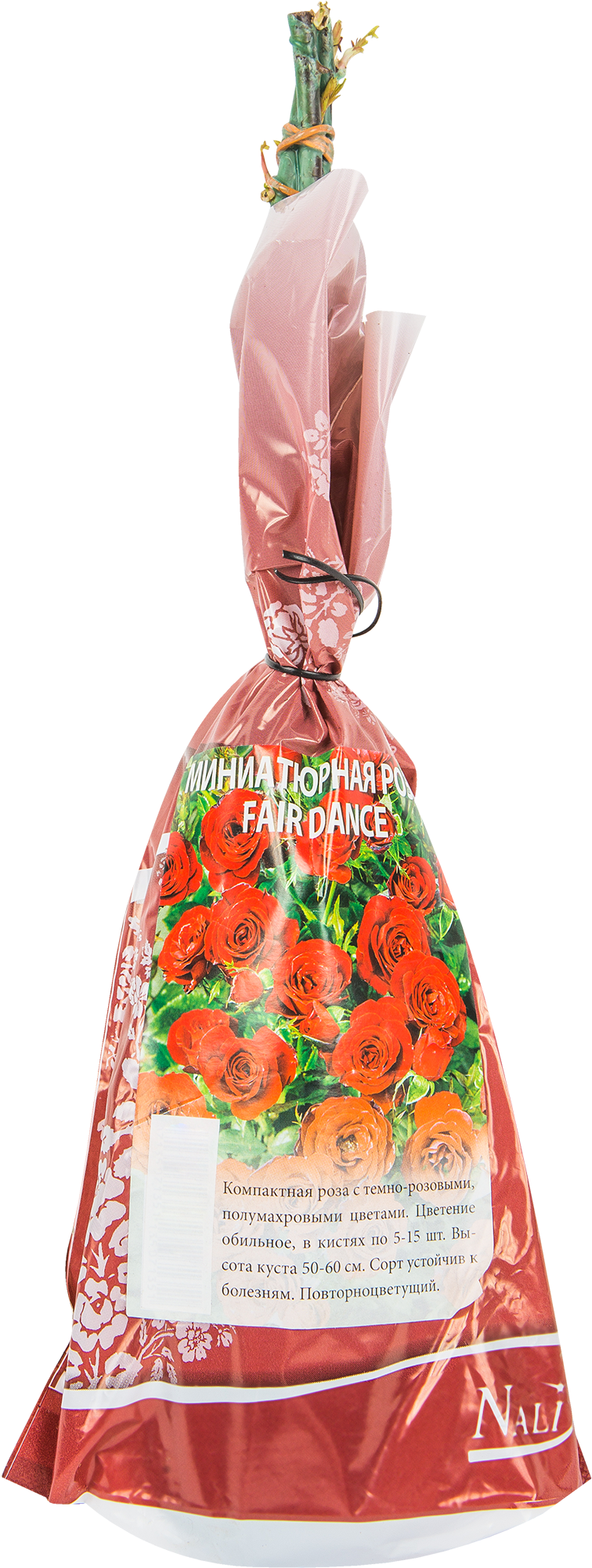 Изображение товара Роза миниатюрная Фейри Денс