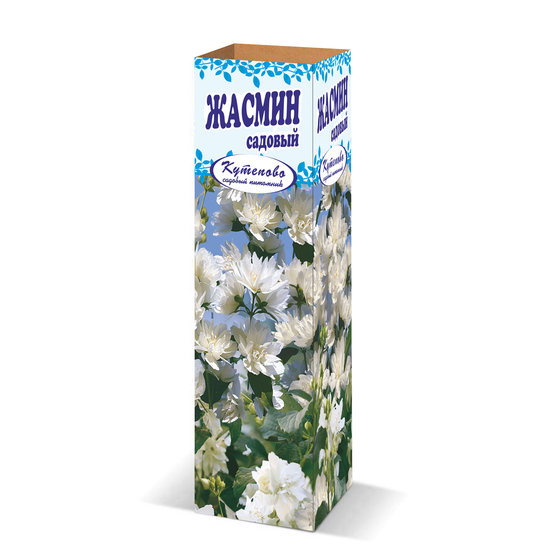 Изображение товара Жасмин «Эректус» в коробке