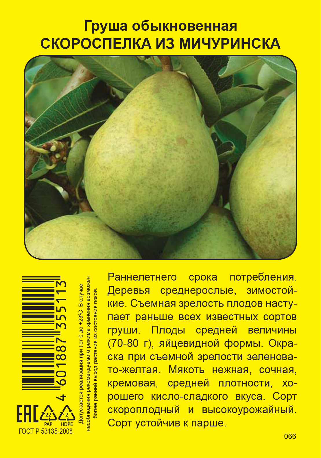 Изображение товара Груша «Скороспелка из Мичуринска»