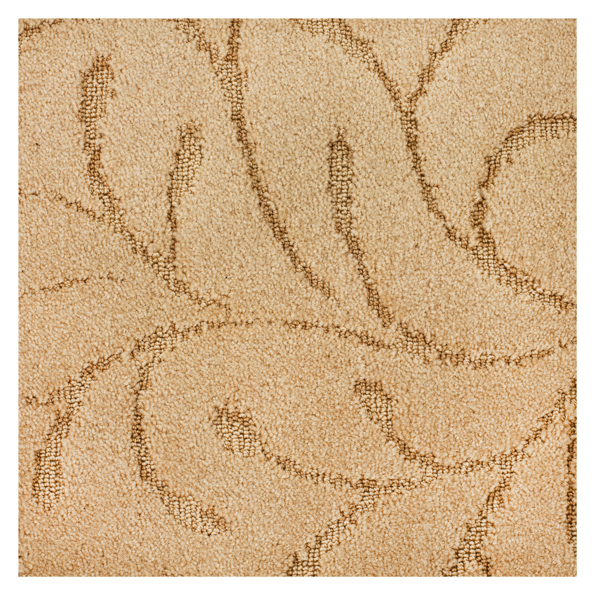 Изображение товара Ковровое покрытие Брисбен 34, скролл, цвет бежевый, 3 м