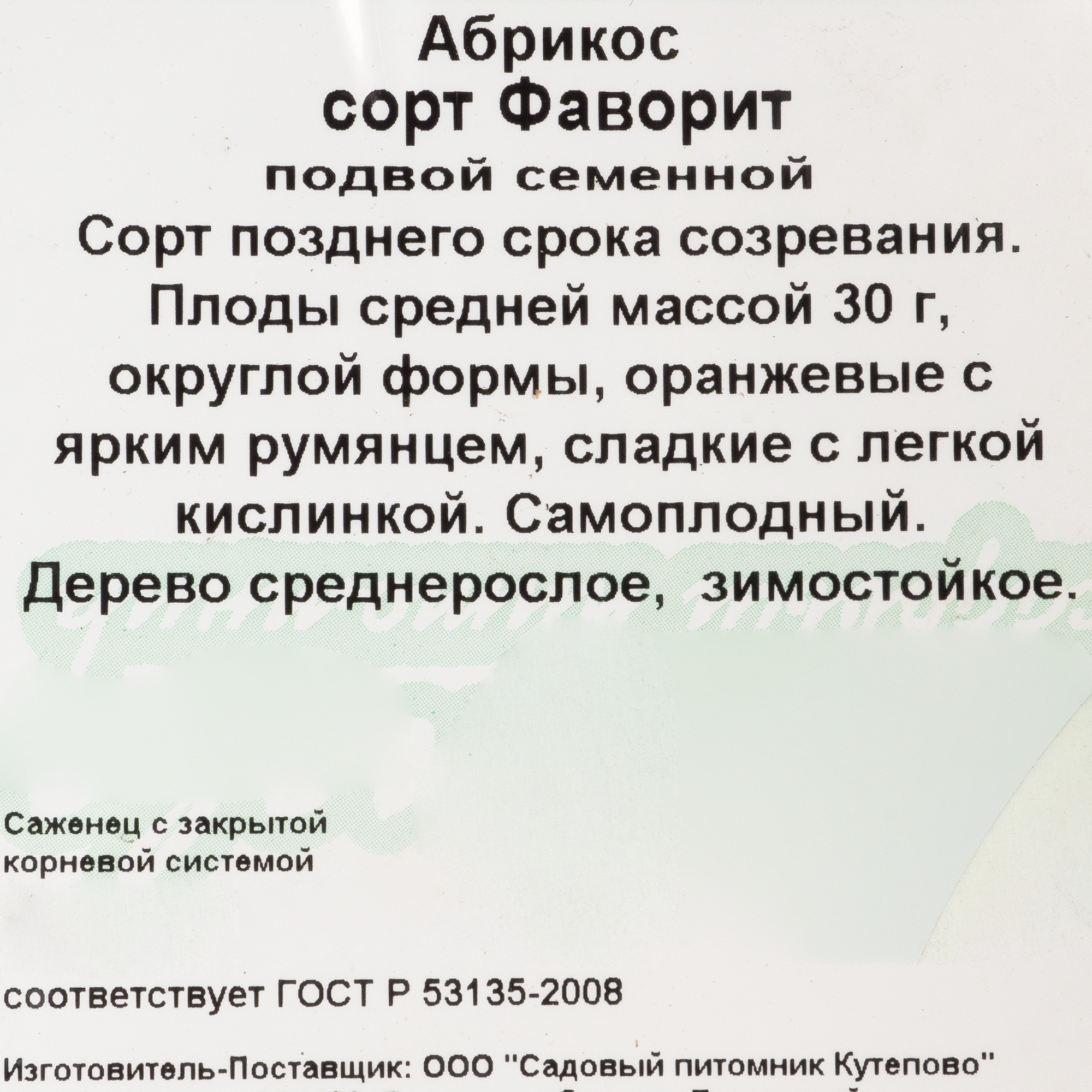 Изображение товара Абрикос С4 «Фаворит» h100-120