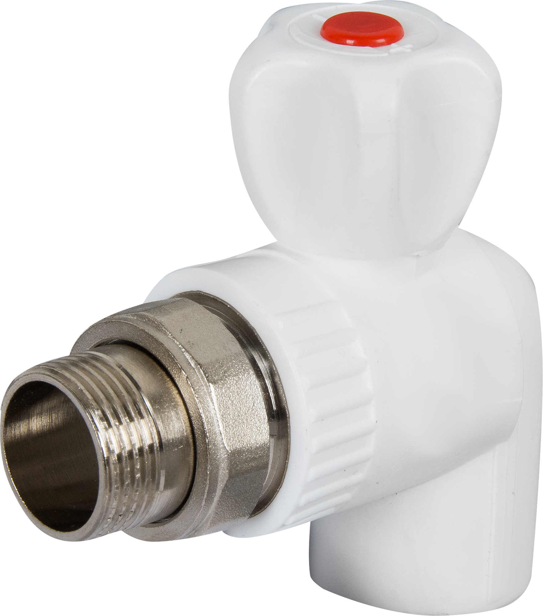 Орыс жезөкшелерінің бетіндегі сперматозоидтардың фотосуреттері