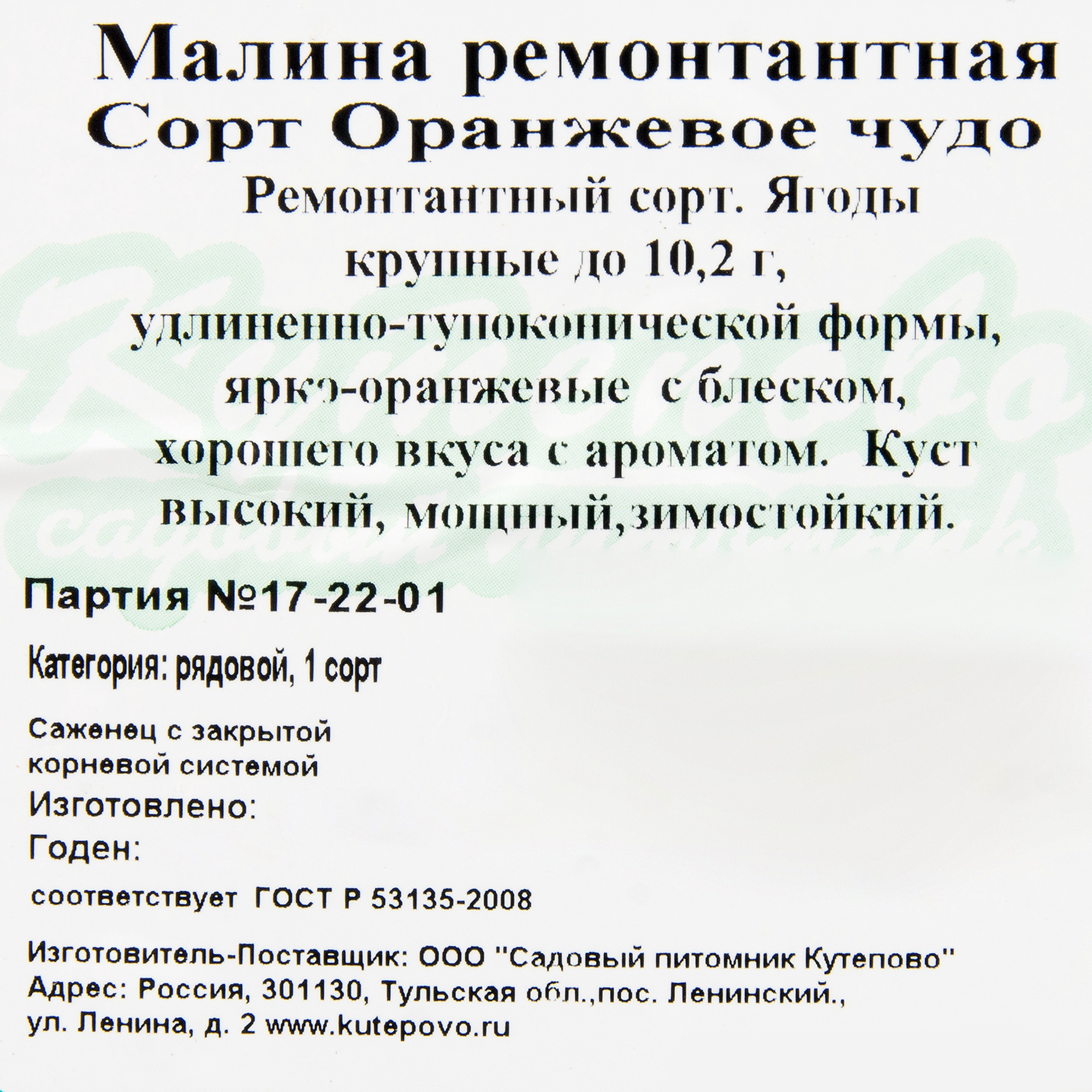 Изображение товара Малина «Оранжевое чудо» С2 40 см