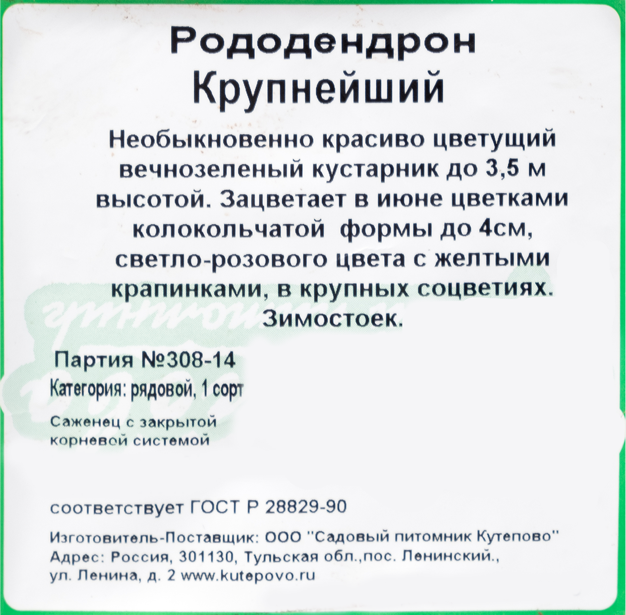 Превью изображения товара