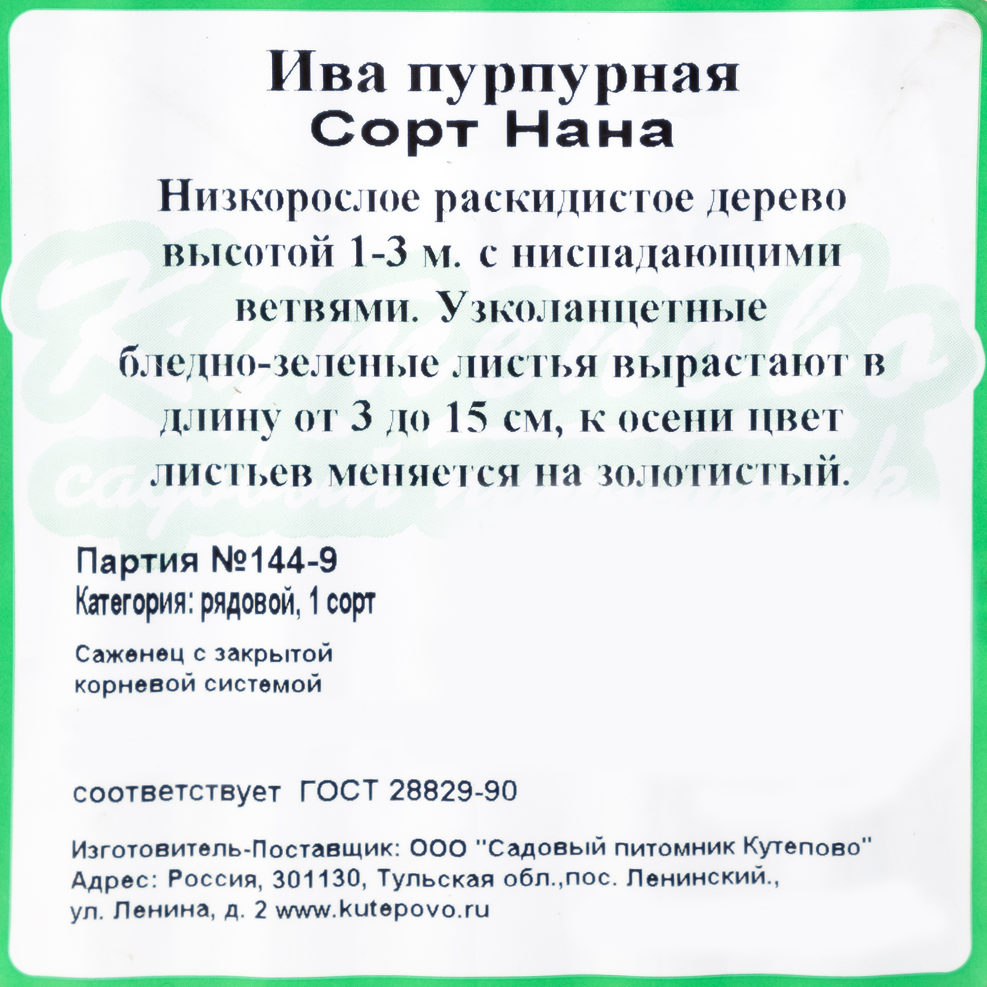 Изображение товара Декоративная ива Нана пурпурная 40 см для ландшафта сада