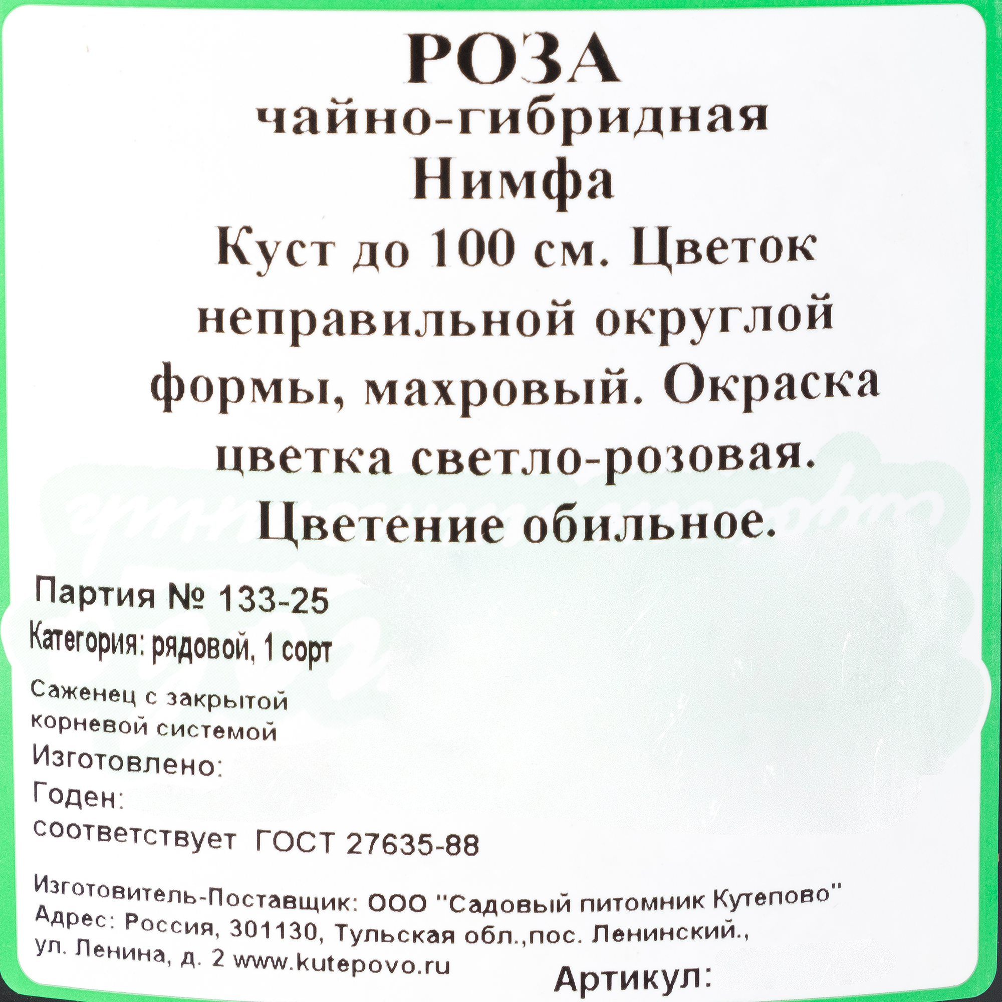 Изображение товара Роза чайно-гибридная «Нимфа» С4 Изображение товара Роза чайно-гибридная «Нимфа» С4
