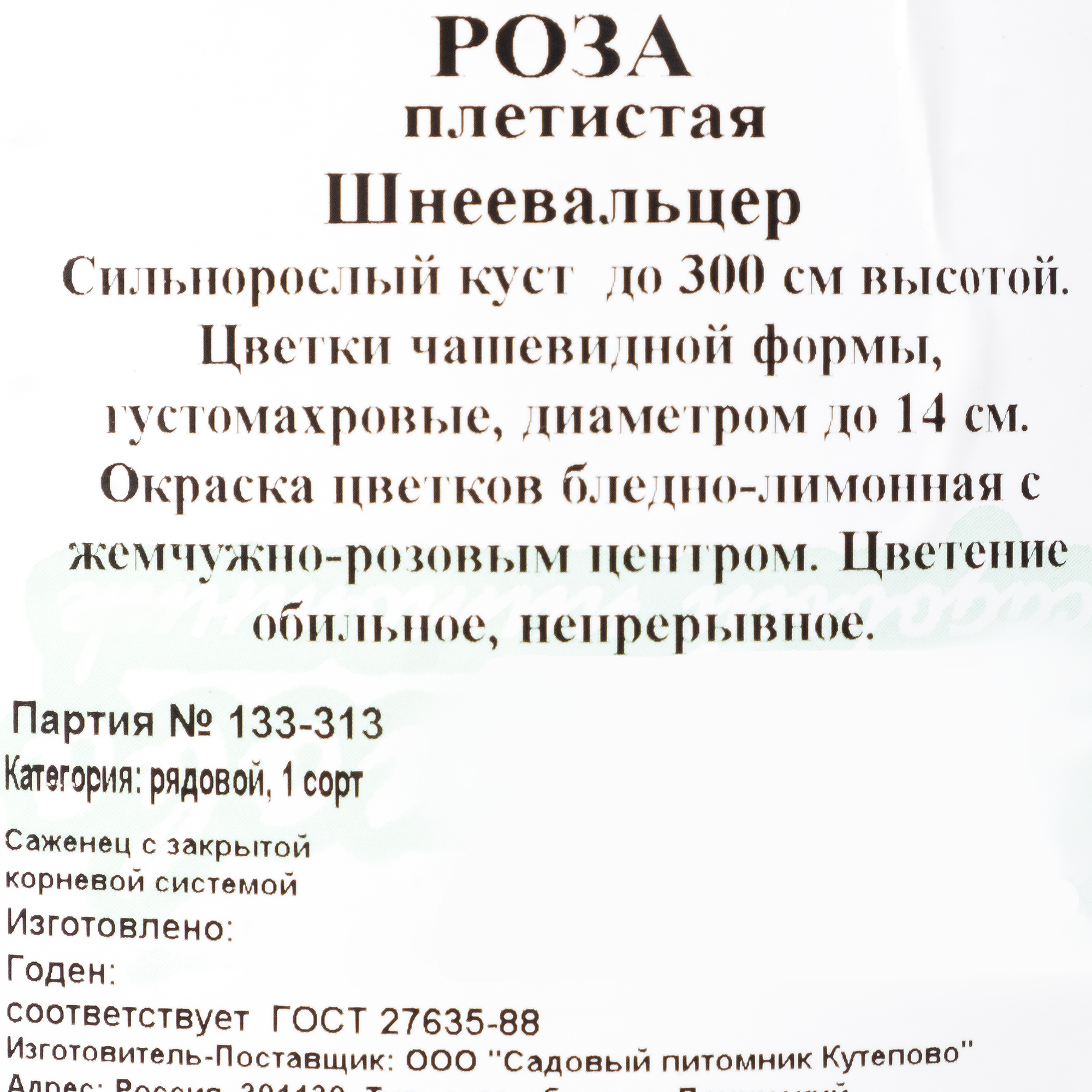 Изображение товара Роза плетистая «Шнеевальцер» С4