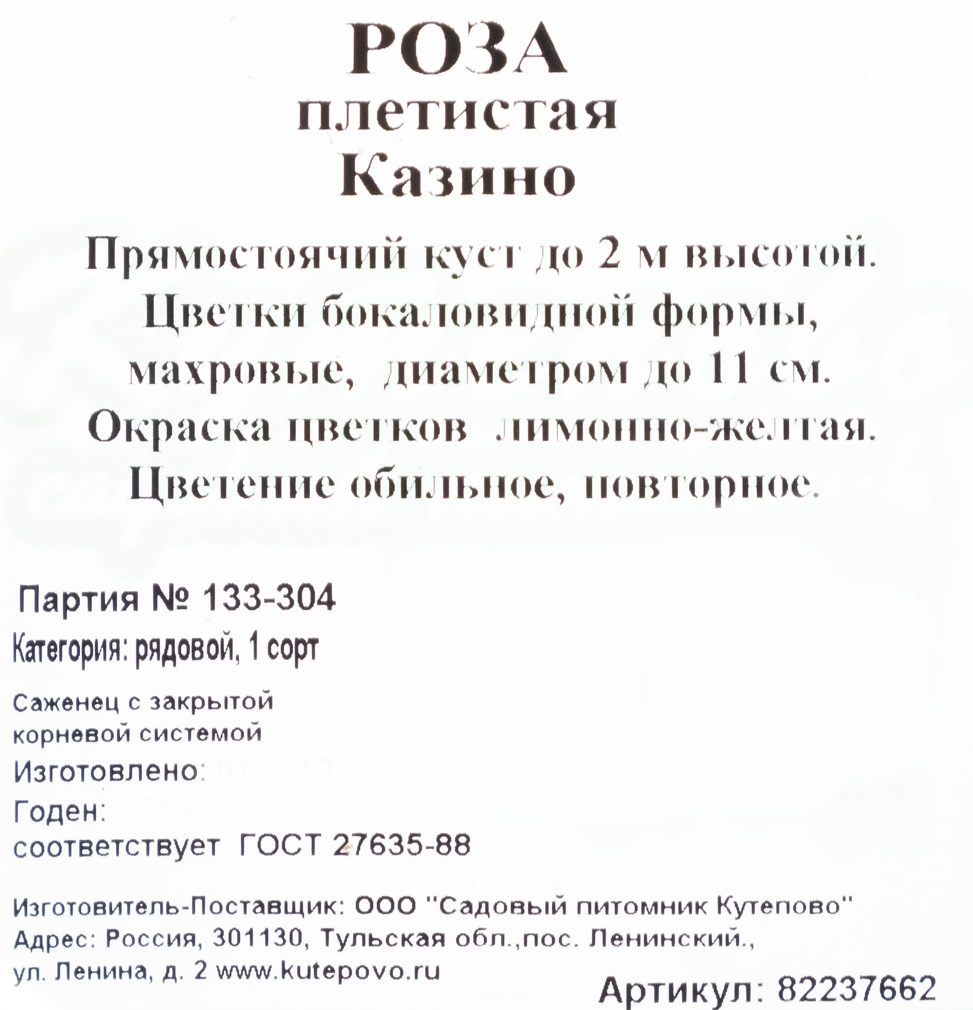 Изображение товара Роза плетистая «Казино» С4