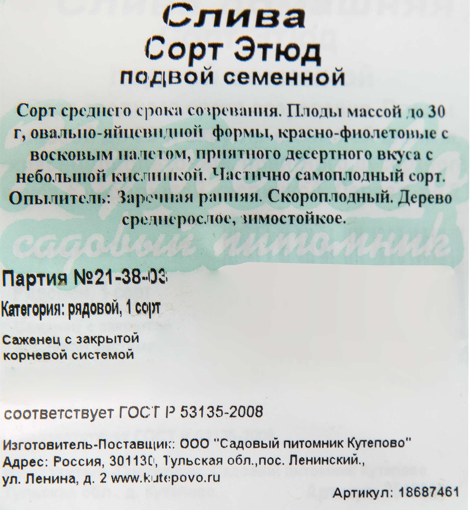 Изображение товара Слива «Этюд» С7, 2 года Изображение товара Слива «Этюд» С7, 2 года