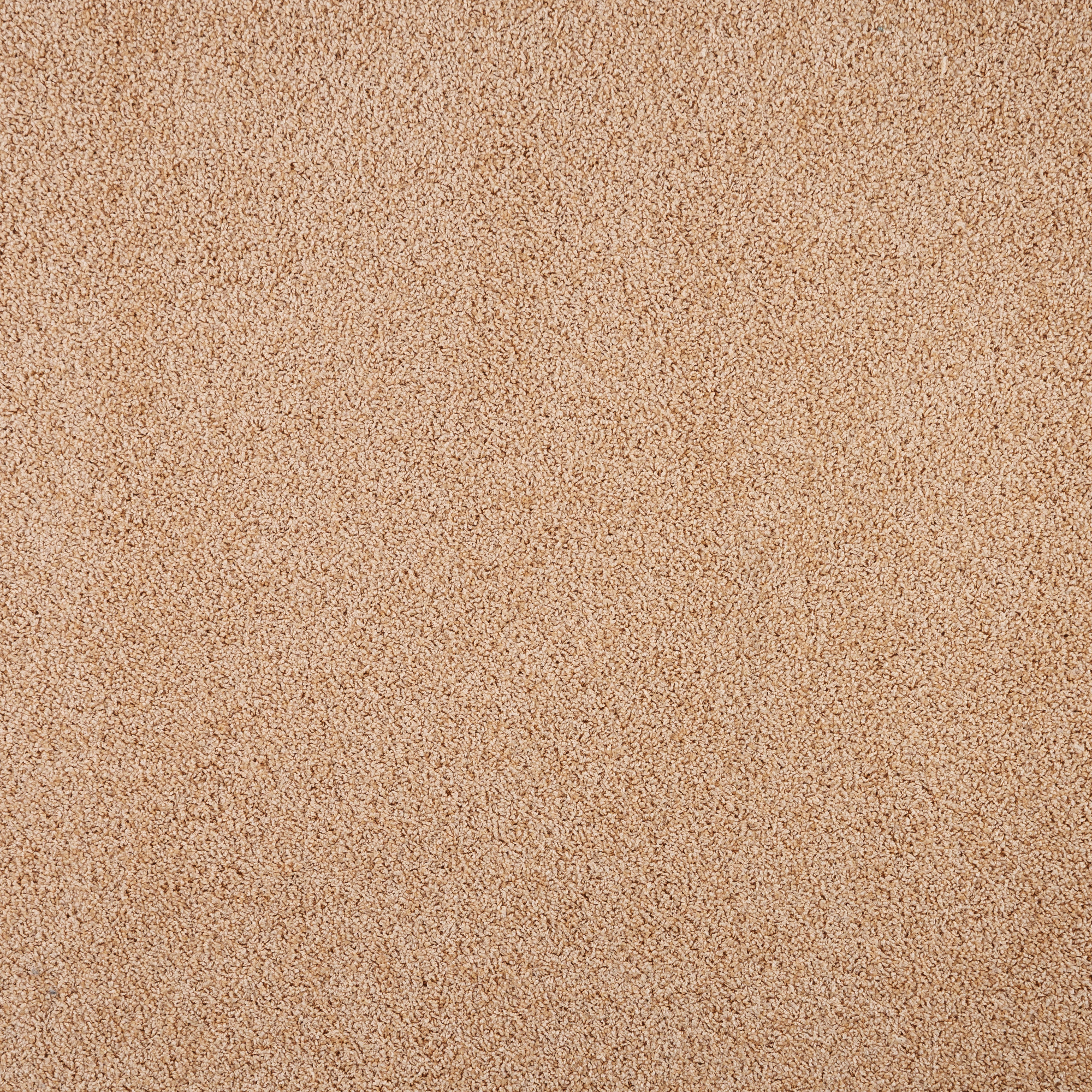 Изображение товара Ковровое покрытие Глория 3 м персик современное для дома и офиса