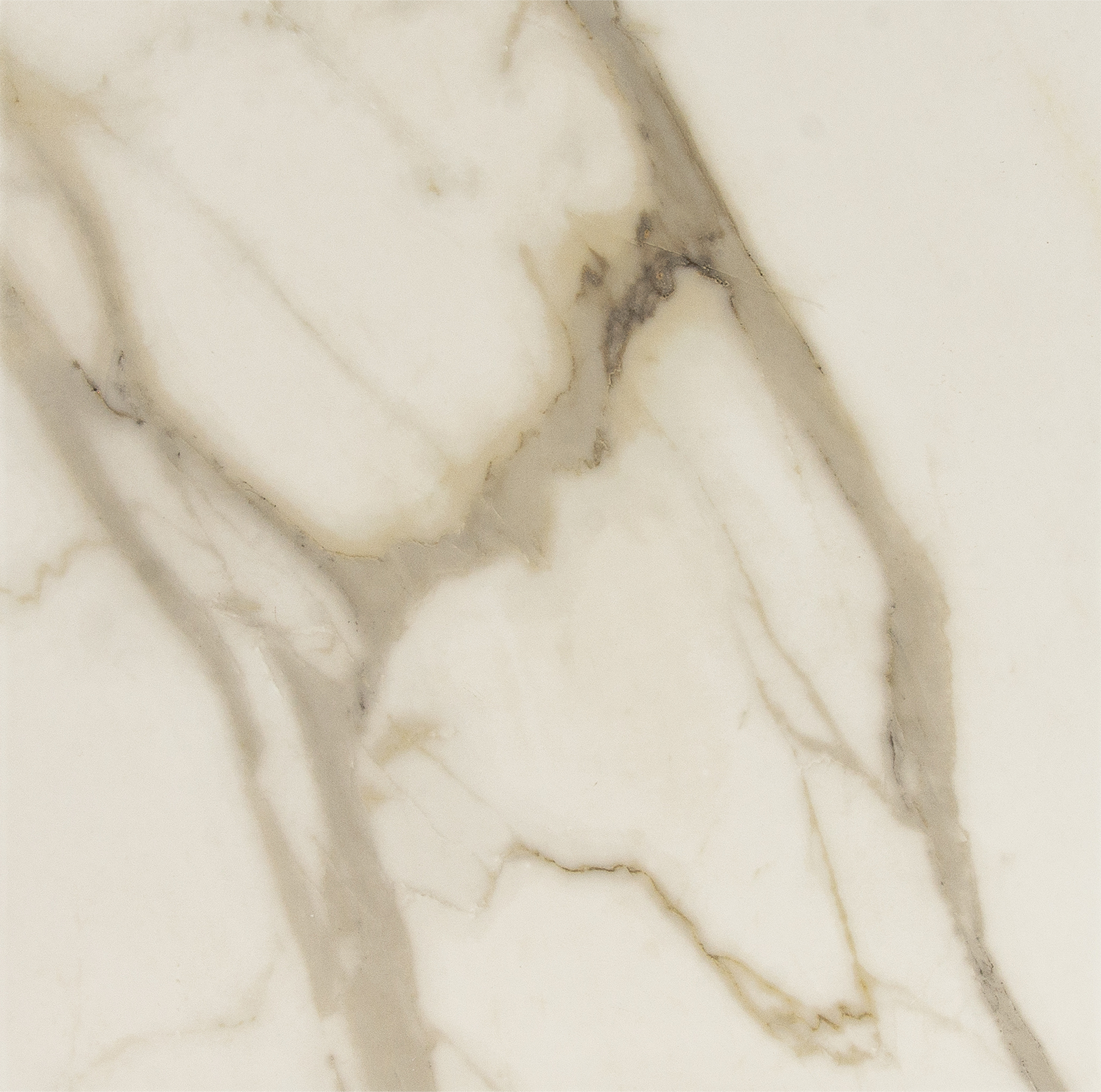 Изображение товара Керамогранит Supernova Calacata Gold 45x45 см матовый белый для пола и стен