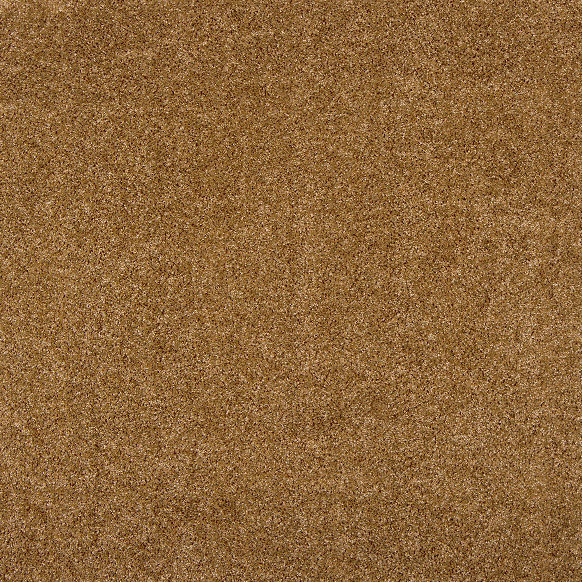 Изображение товара Ковровое покрытие «Байкал 160», 3 м, цвет светло-коричневый