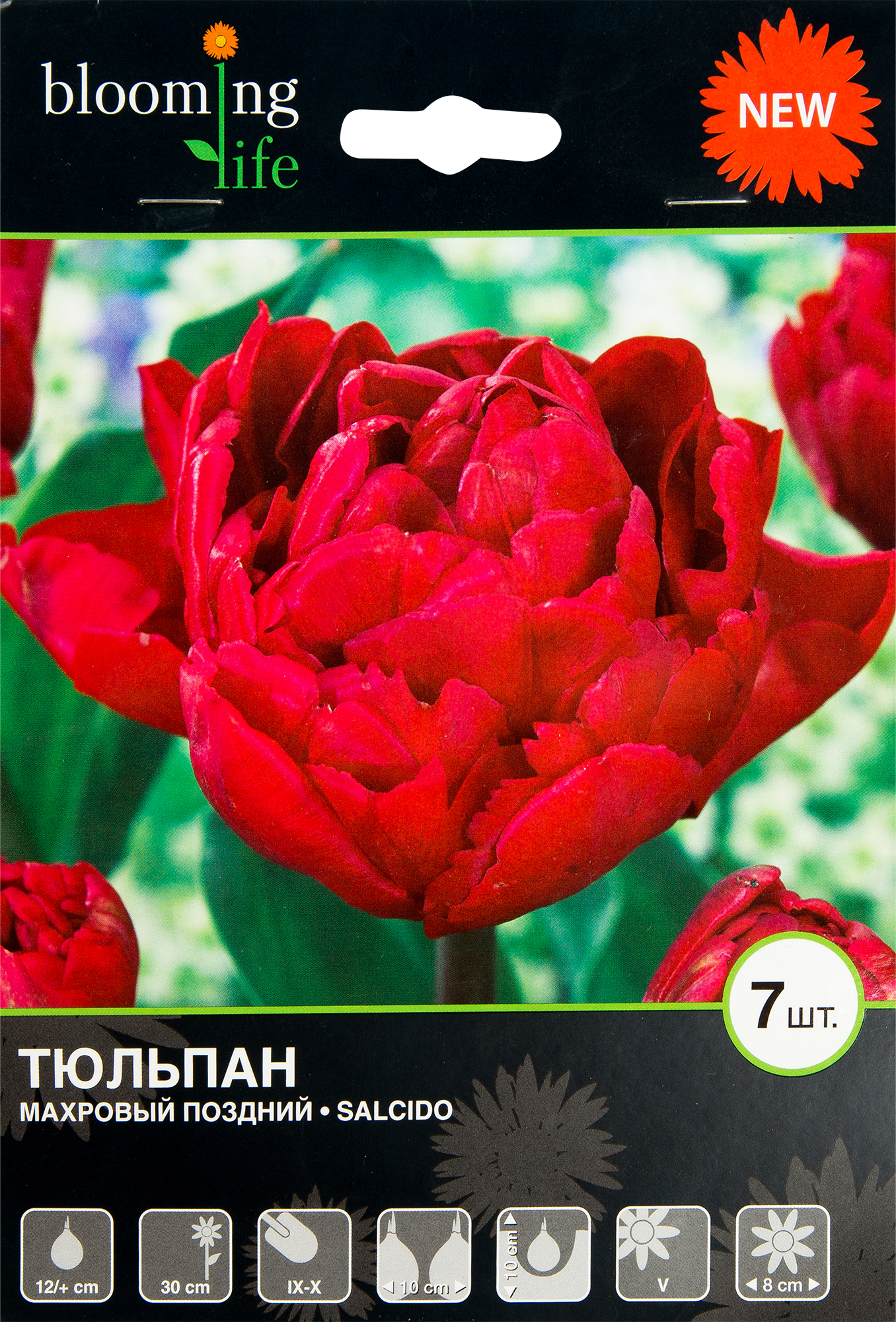 Изображение товара Тюльпан махровый поздний «Сальсидо»