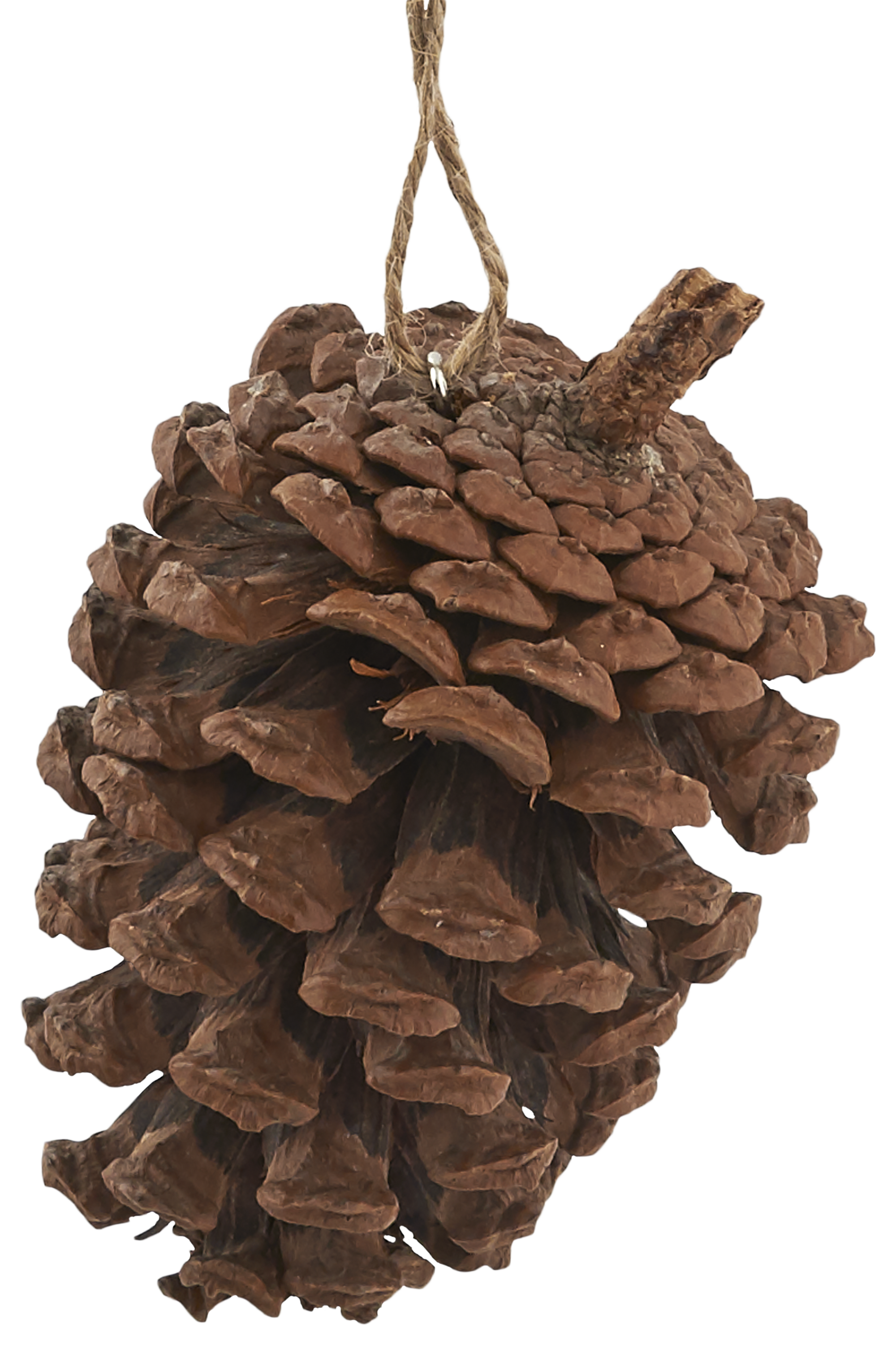 Изображение товара Украшение ёлочное «Шишка», 6-8 см, цвет коричневый