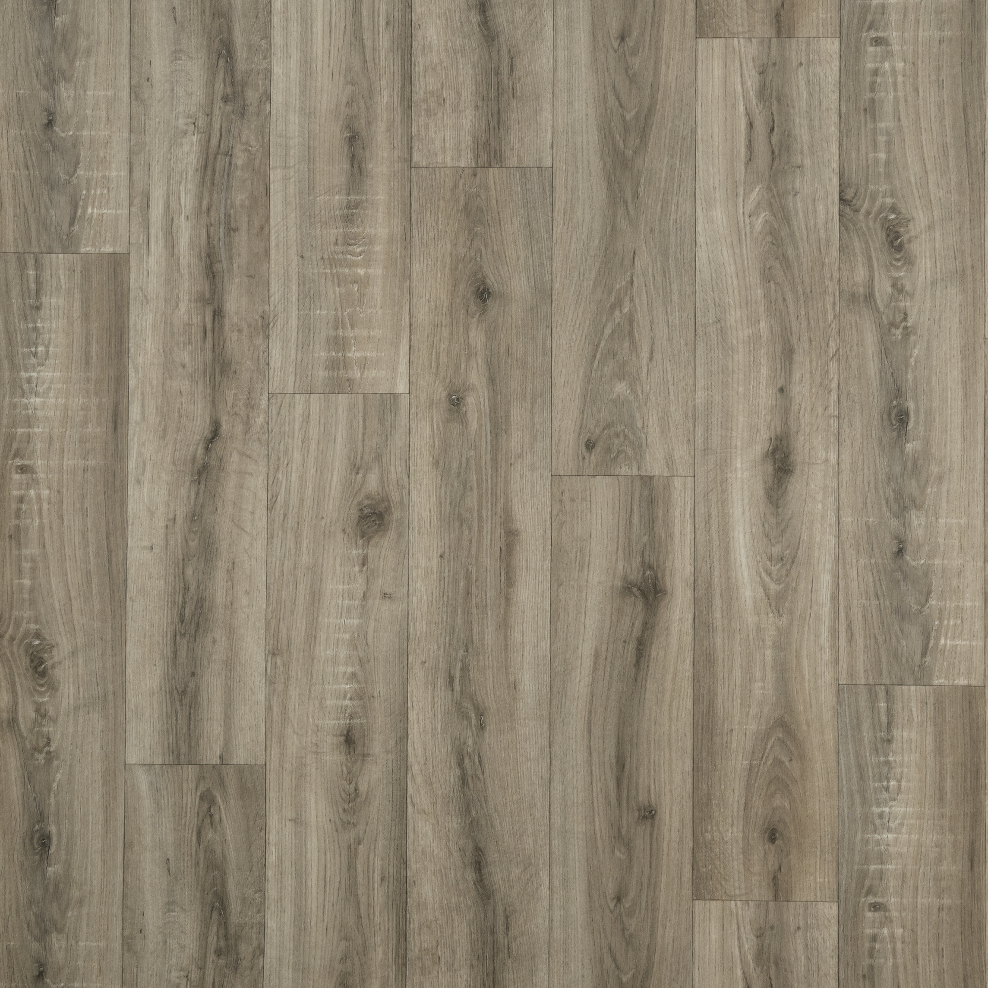 Изображение товара Линолеум «Сорбонна» 32 класс 2.5 м