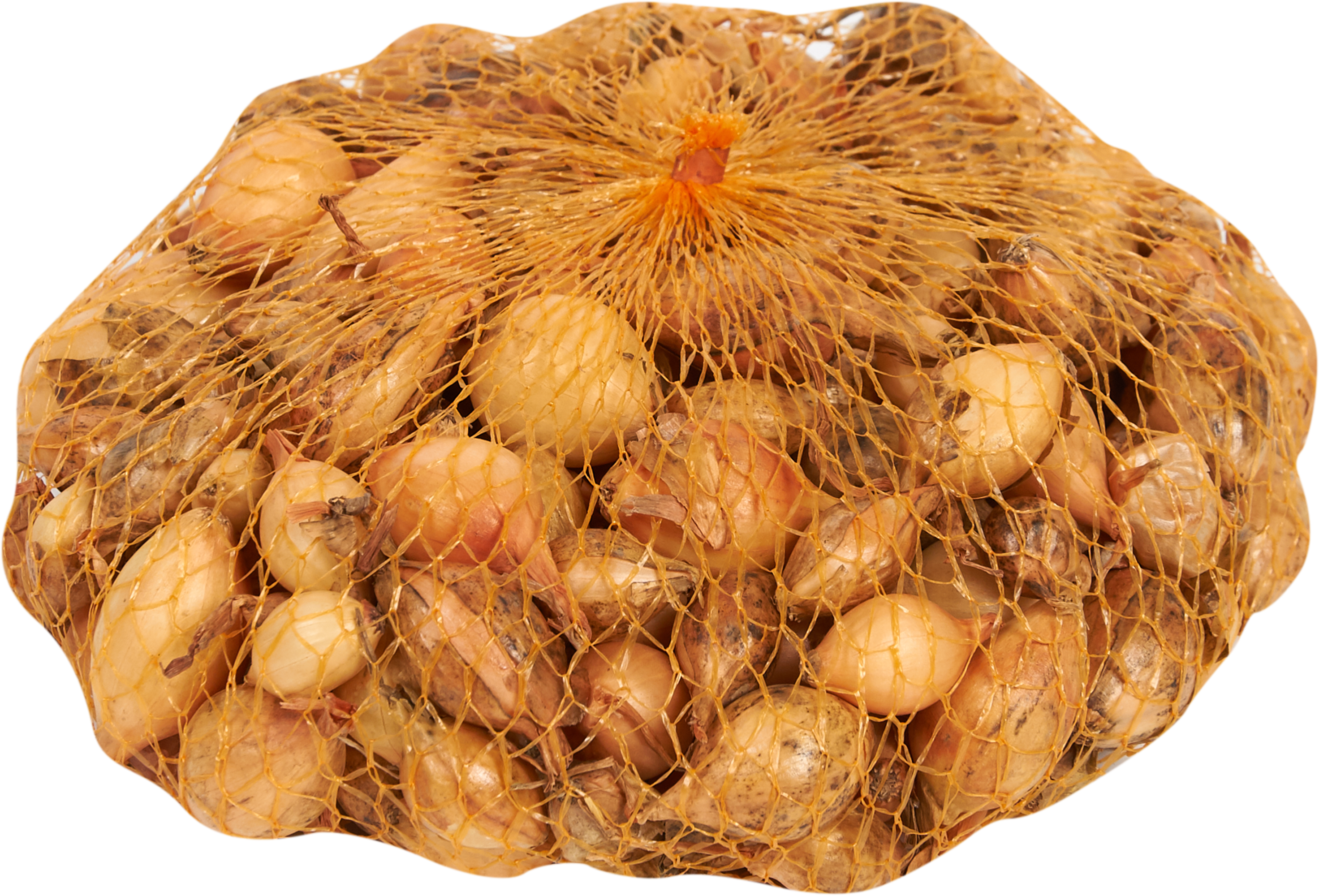 Изображение товара Лук-севок Стурон 21/24 мм 0.5 кг