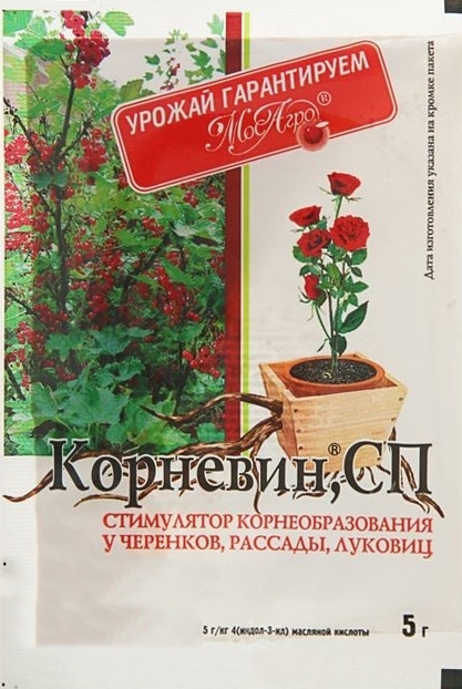 Изображение товара Стимулятор Корневин порошок 5 г Изображение товара Стимулятор Корневин порошок 5 г