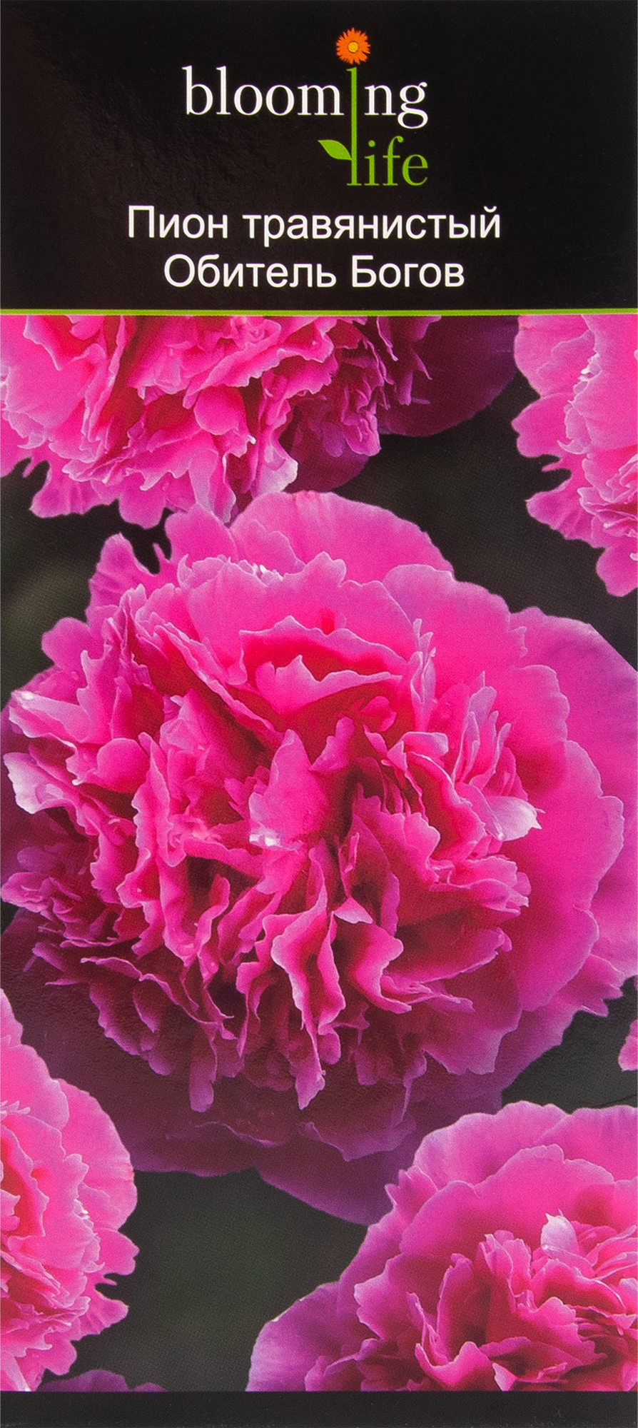 Изображение товара Пион травянистый BLOOMING LIFE Обитель Богов | Рассада цветов