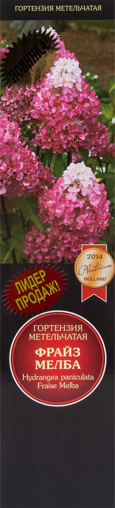 Гортензия метельчатая Фрайз Мелба ️ купить по цене 577 ₽/шт. в Москве с ...