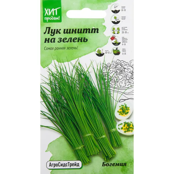 **Лук на зелень «Богемия»** — многолетняя луковичная культура с нежным полуострым вкусом, устойчивая к заболеваниям. Листья  ...