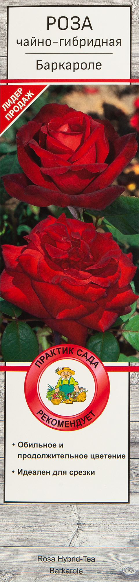 Изображение товара Розы чайно-гибридные «Баркарола»