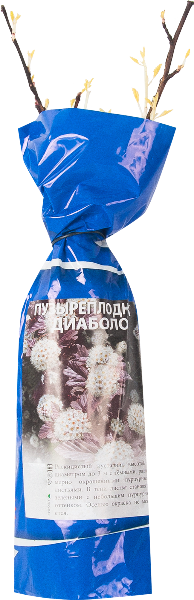 Изображение товара Пузыреплодник калинолистный Диаболо - яркий кустарник для ландшафтного дизайна