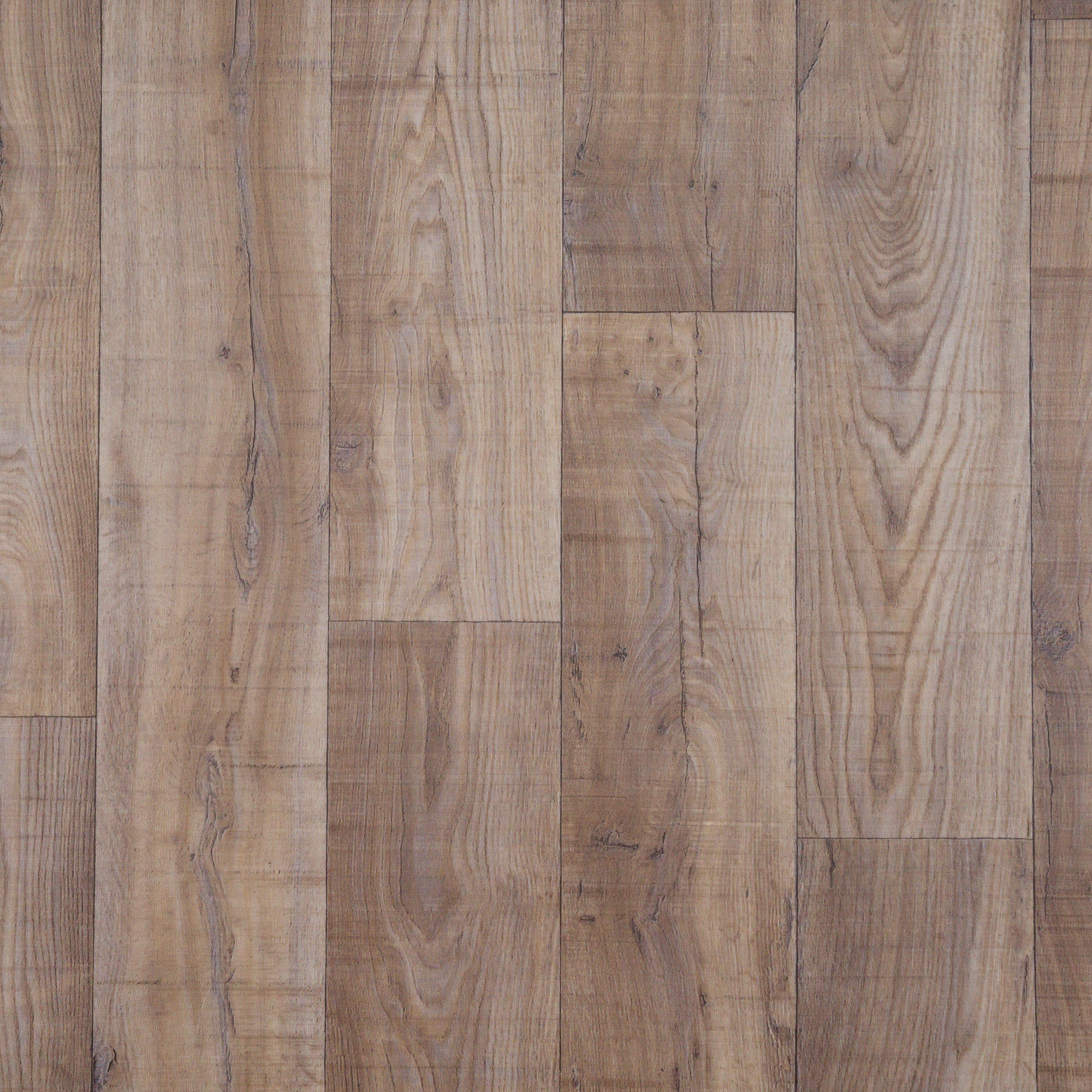 Изображение товара Линолеум Дуб гроссо 31 класс 4 м Влагостойкий стильный пол