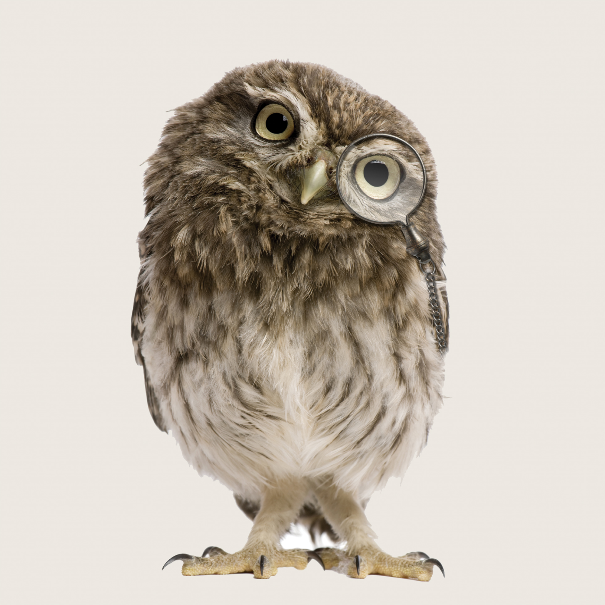 Әрбір тесіктен сперматозоидтар шығатын секс видеосы