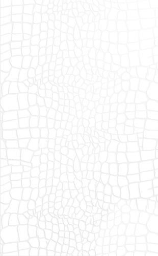 Изображение товара Плитка настенная Golden Tile Кайман 25х40 см белая