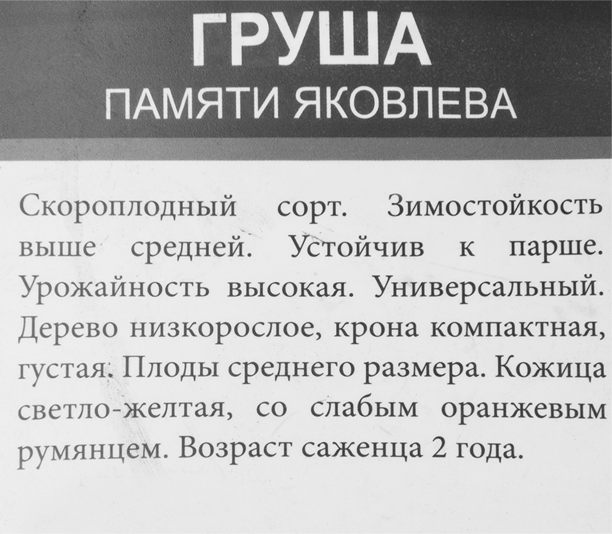Превью изображения товара