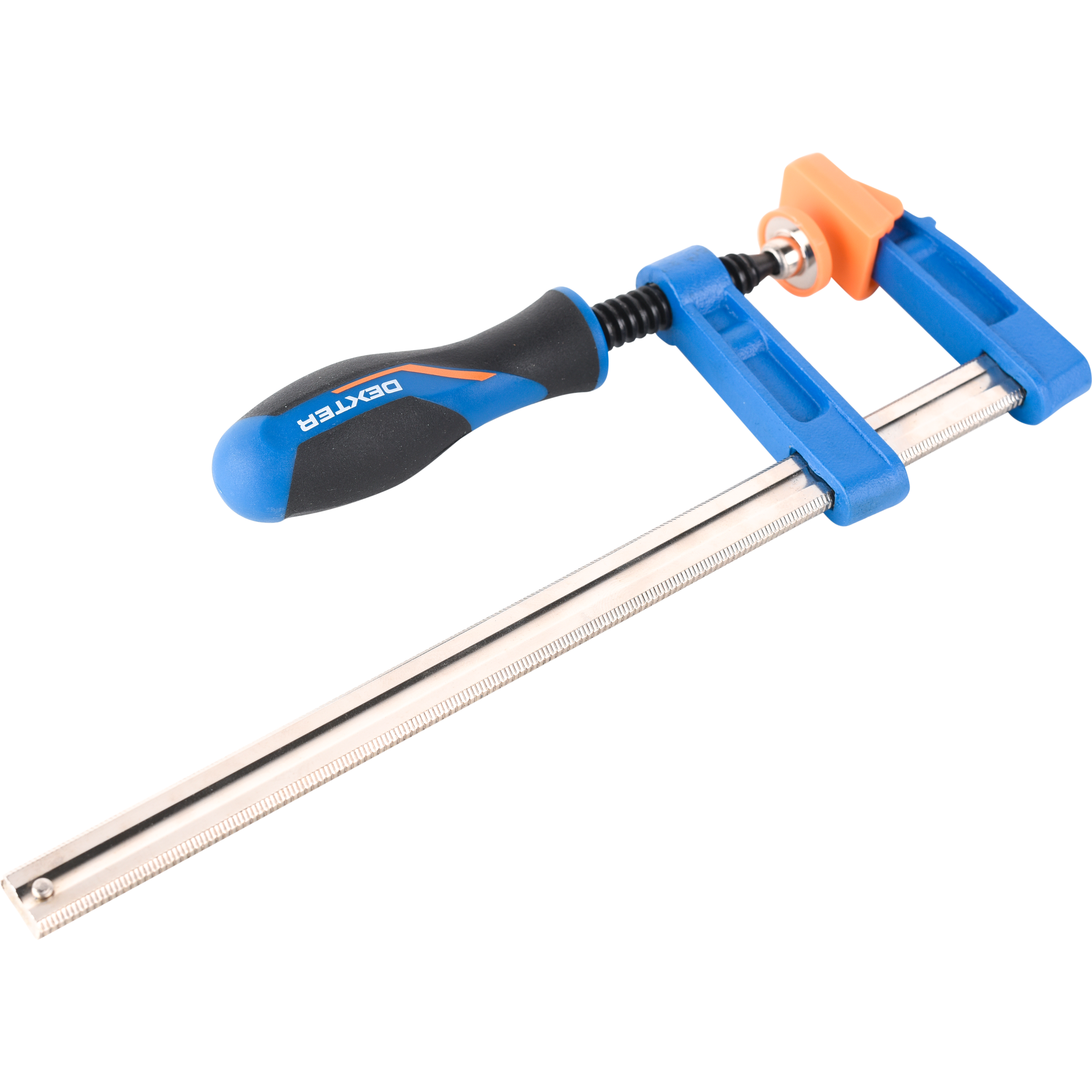 Жас әйел өзінің киска бейнесін көрсетеді