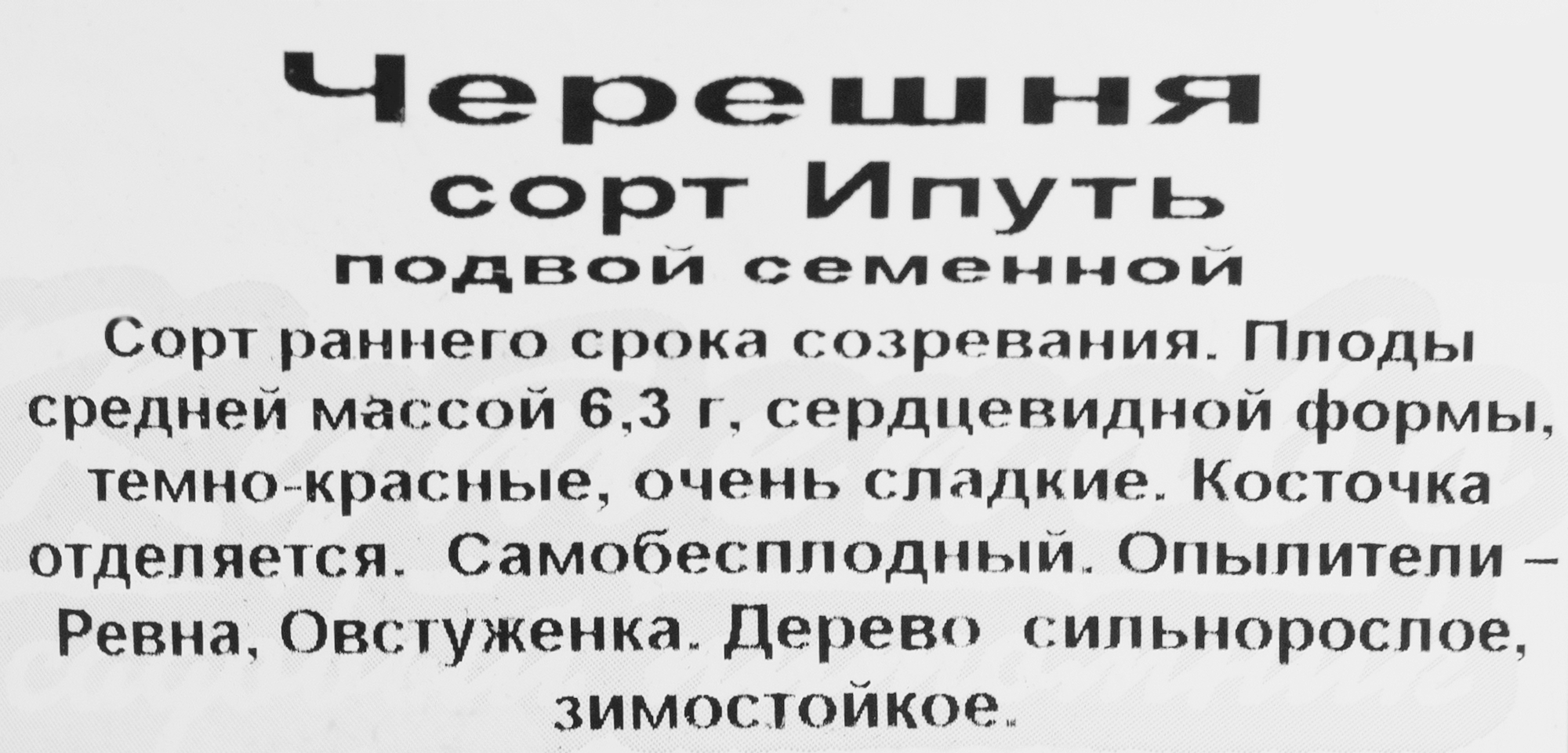 Превью изображения товара