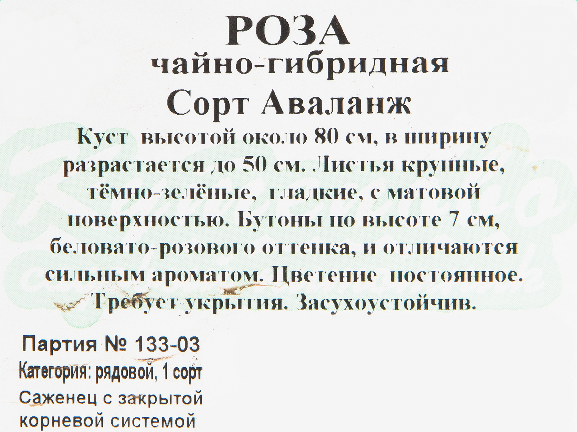 Превью изображения товара