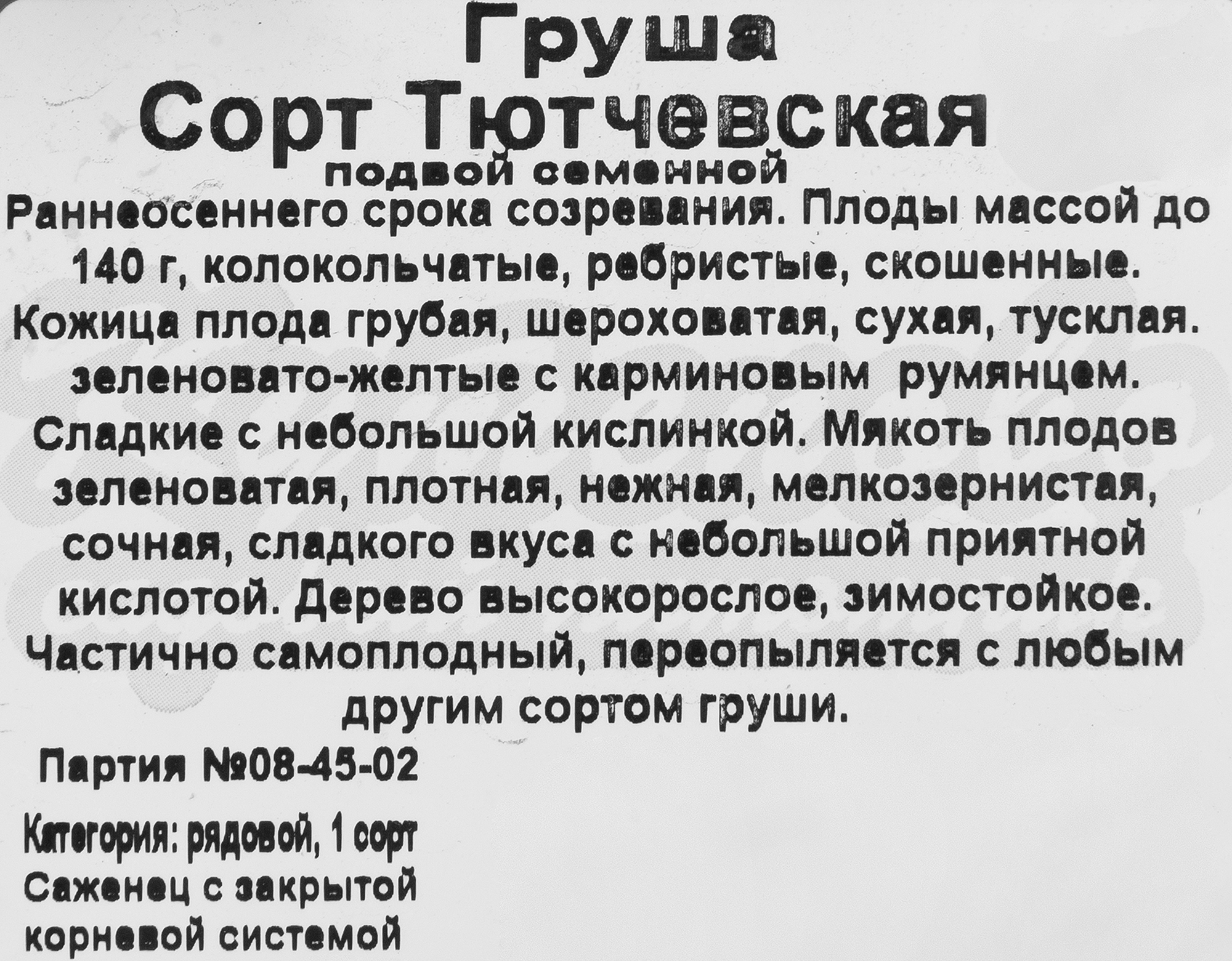 Превью изображения товара