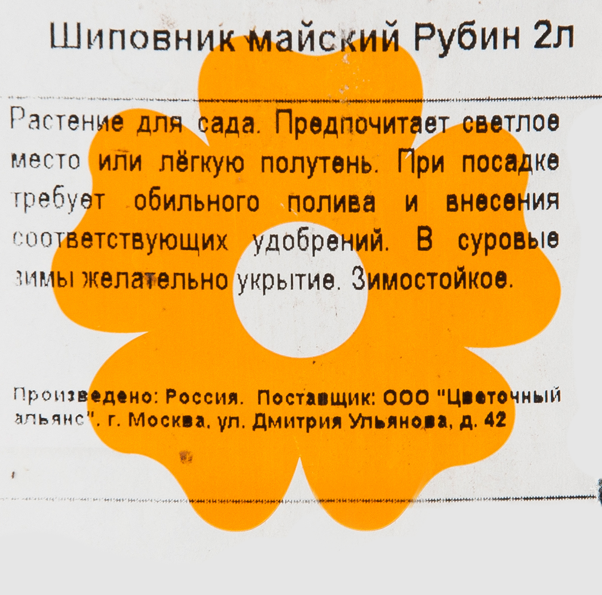 Превью изображения товара