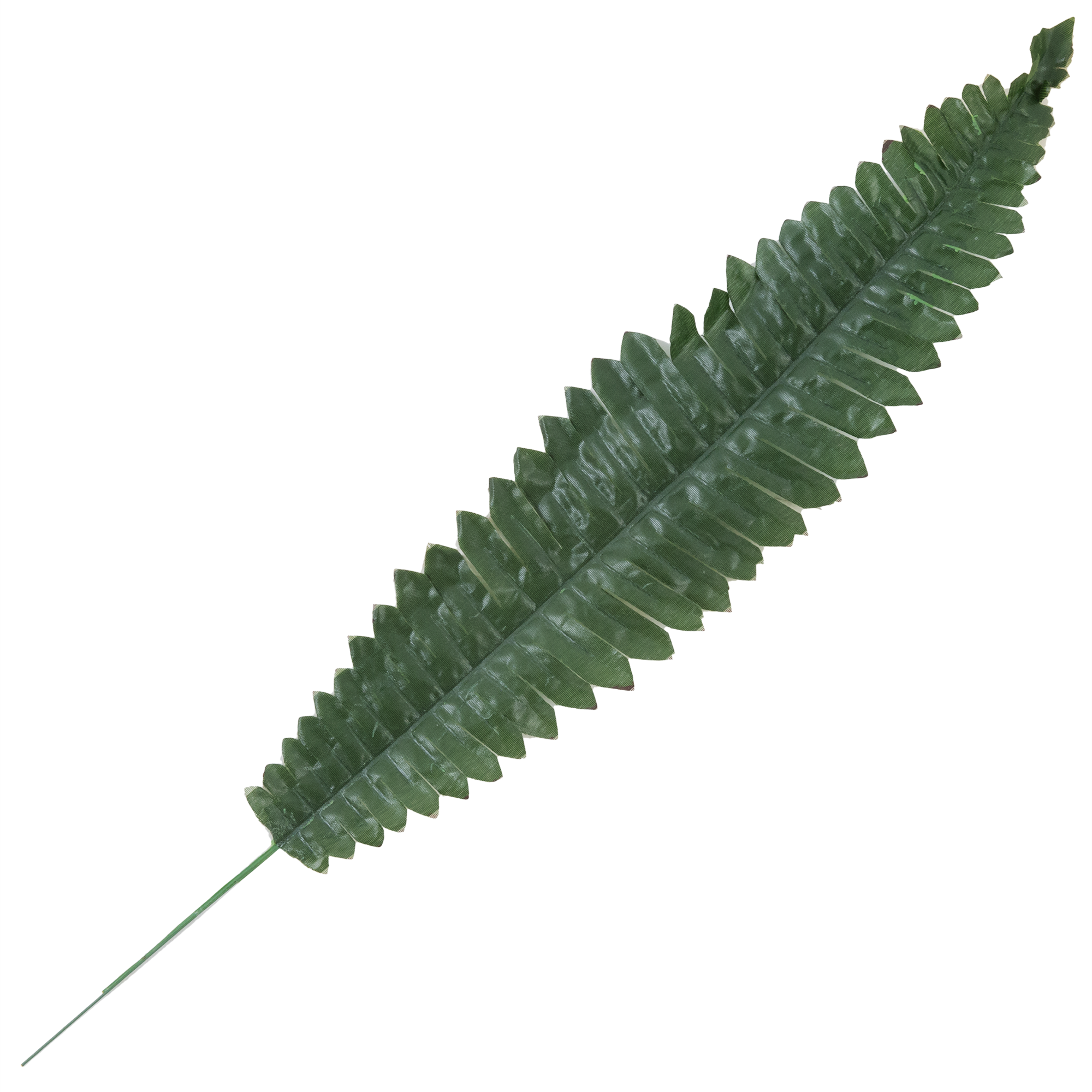 Изображение товара Ветка декоративная Папоротник 50 см цвет зелёный Изображение товара Ветка декоративная Папоротник 50 см цвет зелёный