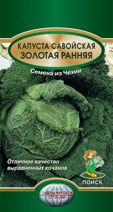 Изображение товара Семена Капуста савойская Золотая ранняя Поиск