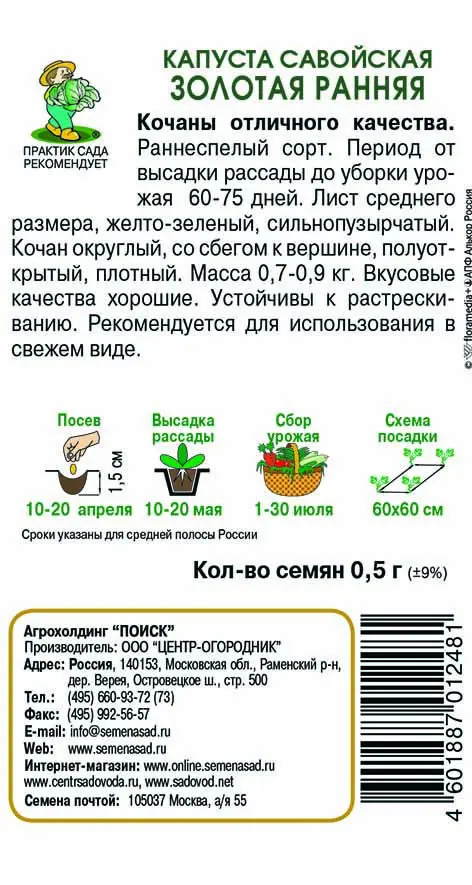Семена Капуста савойская Золотая ранняя Поиск - 1