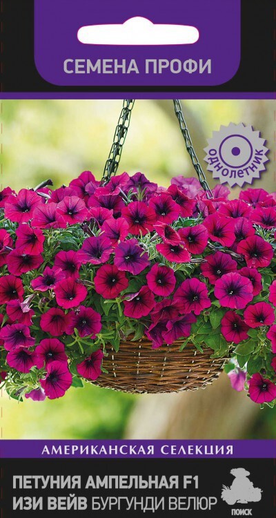 СеменаПетунияАмпел«F1ИзиВейвБургундиВелюр»